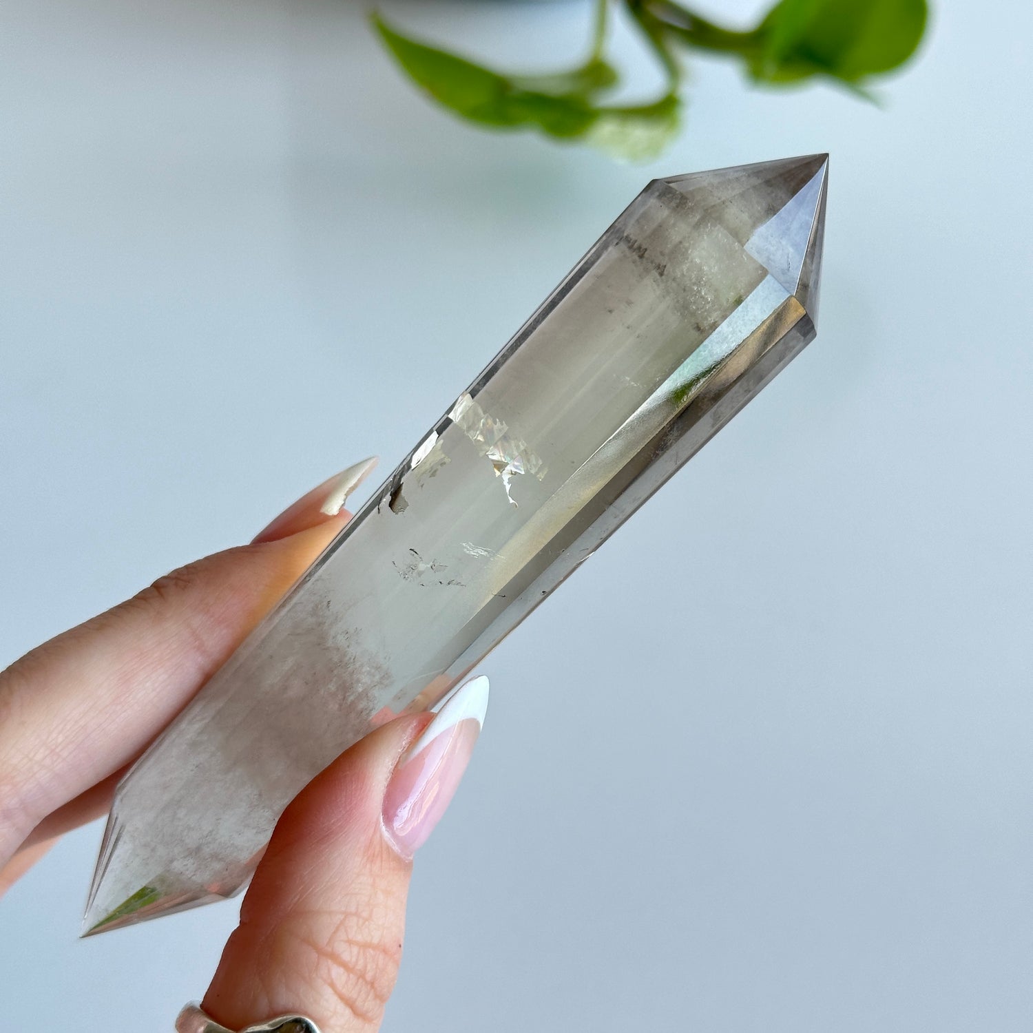 Smoky Quartz Vogel 11.9cm