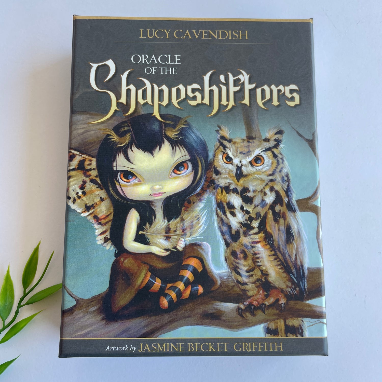 Oracle of the Shapeshifters Lucy Cavendish