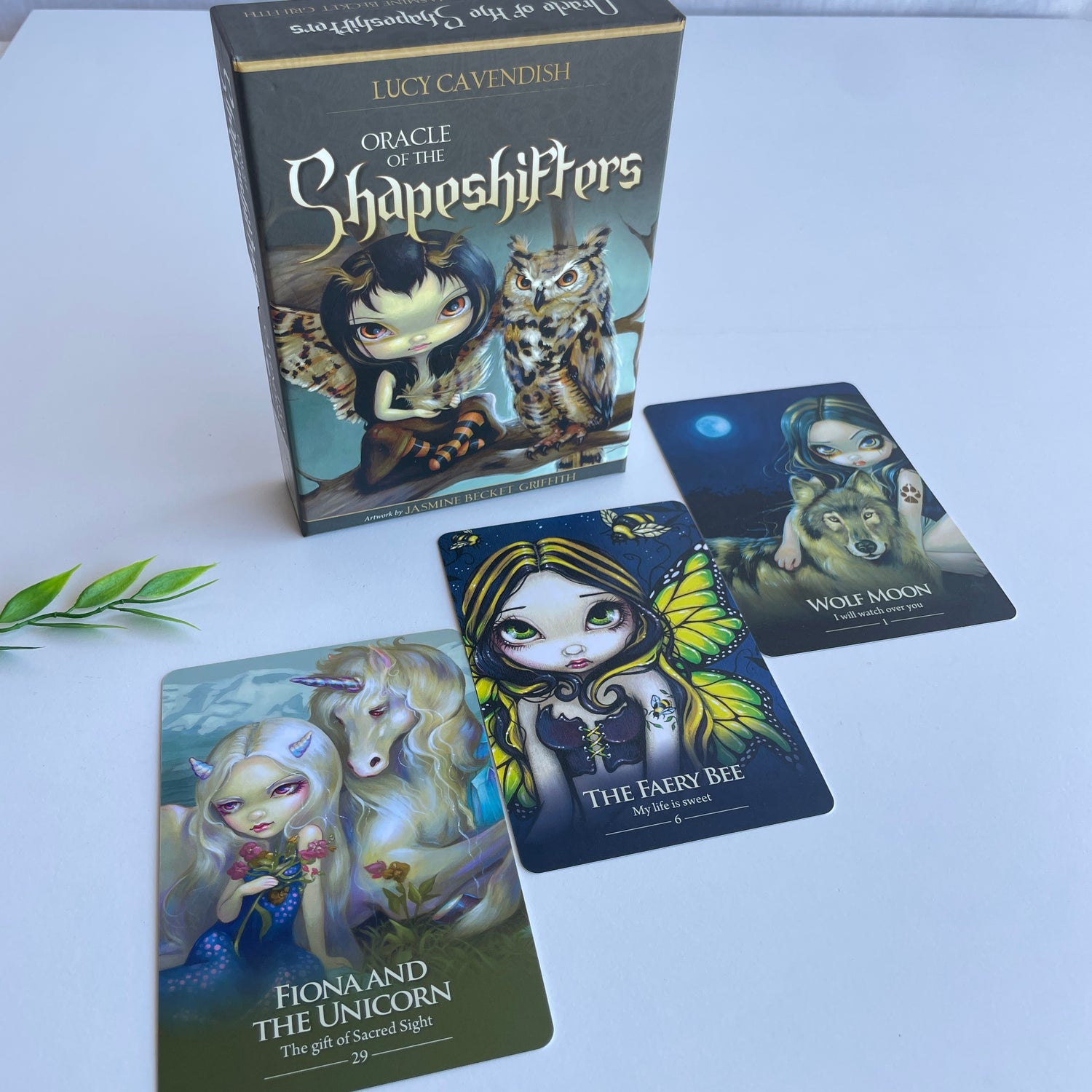 Oracle of the Shapeshifters Lucy Cavendish