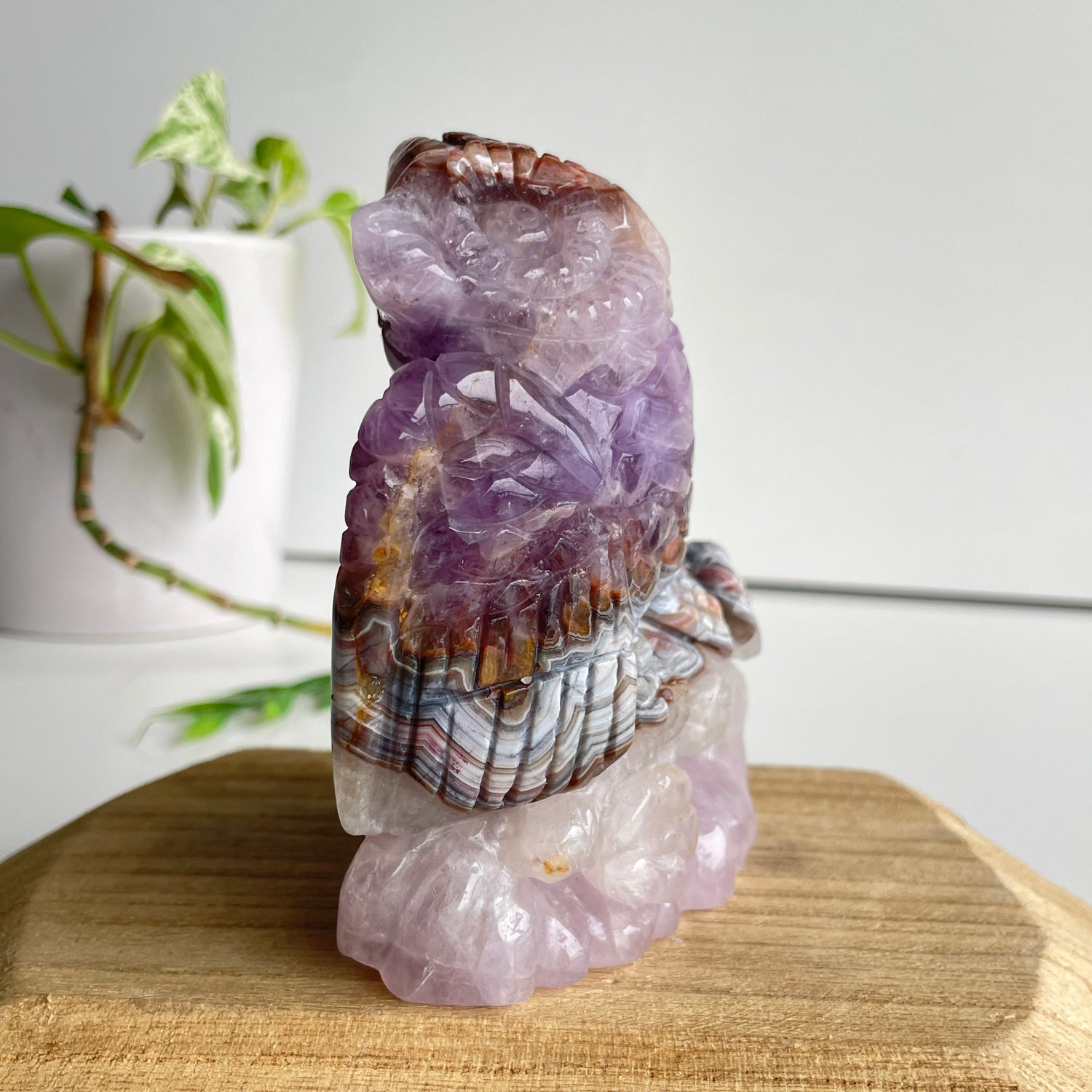 Amethyst Agate Owl Carving