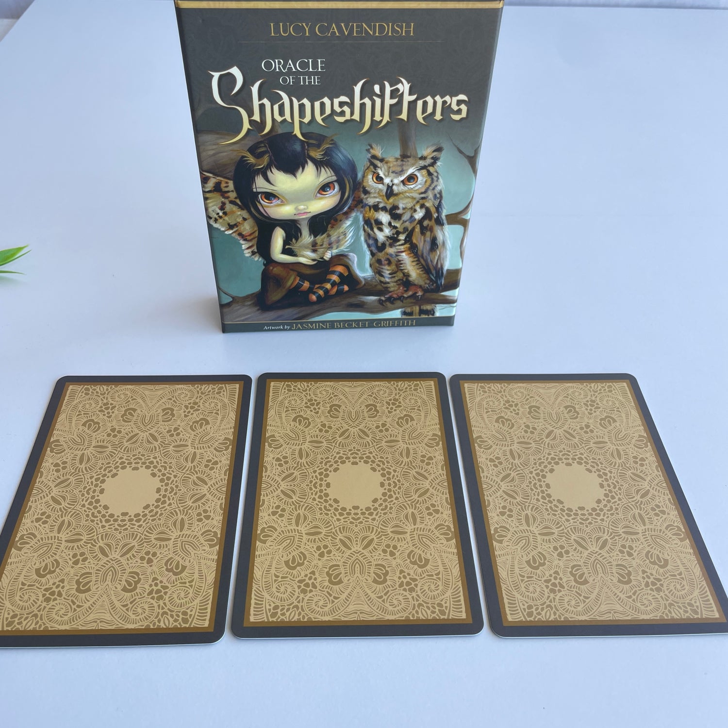 Oracle of the Shapeshifters Lucy Cavendish