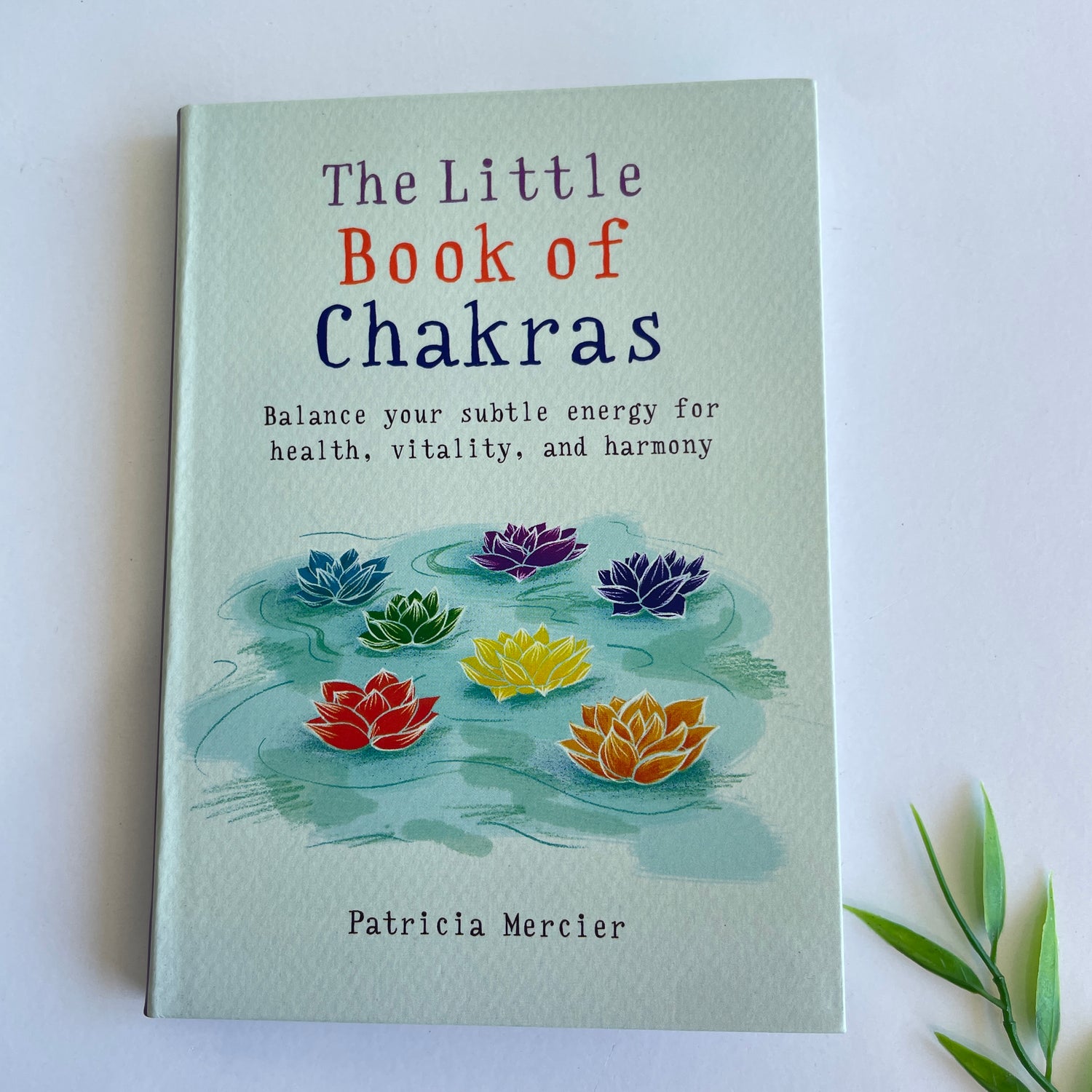 The Little Book Of Chakras Patricia Mercier