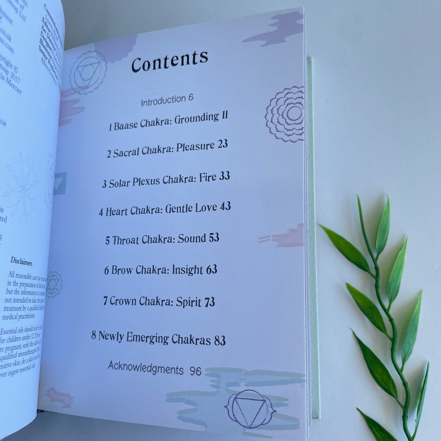 The Little Book Of Chakras Patricia Mercier