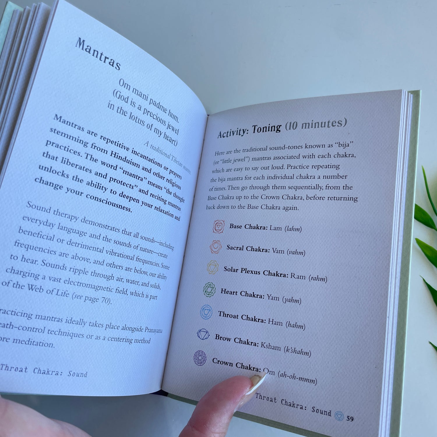 The Little Book Of Chakras Patricia Mercier