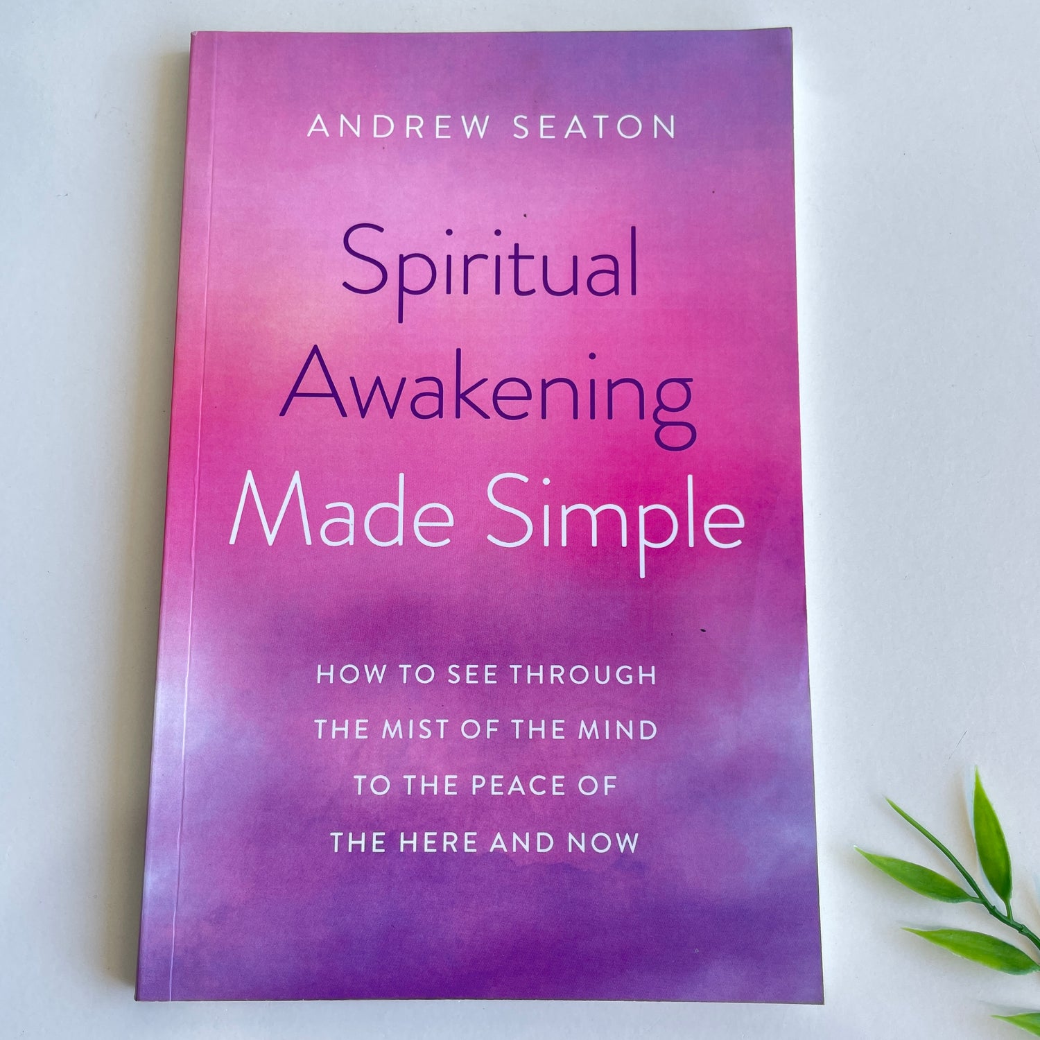Spiritual Awakening Andrew Seaton