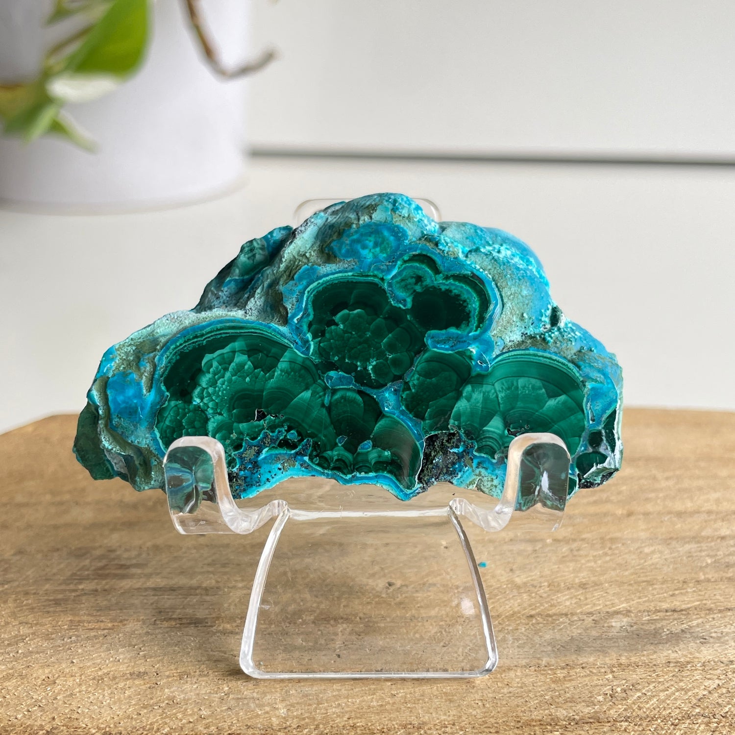 Malachite & Chrysocolla Pce 68g
