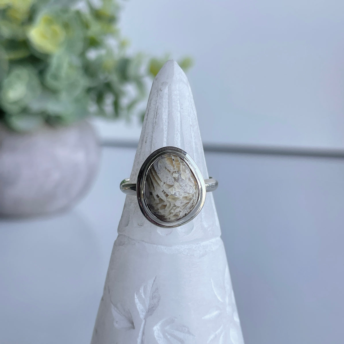 Fossilised Coral Ring Sz6.5