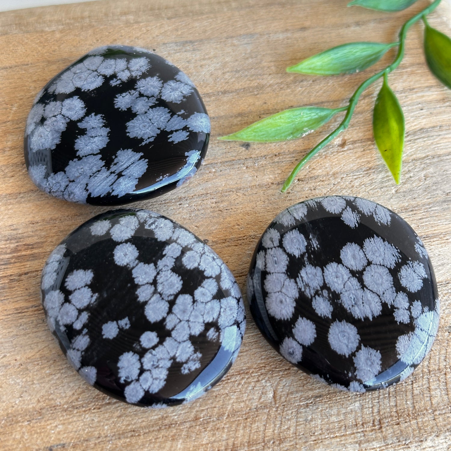 Snowflake Obsidian Flat Stone XL Bra Buddy