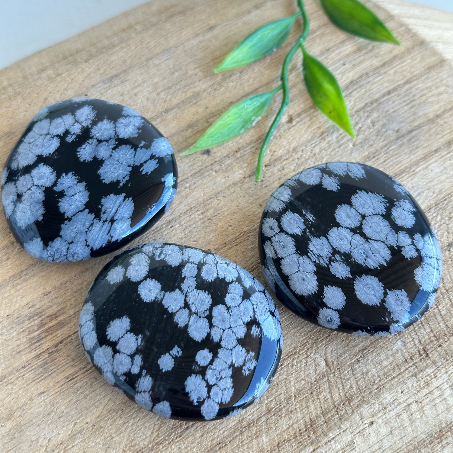 Snowflake Obsidian Flat Stone XL Bra Buddy