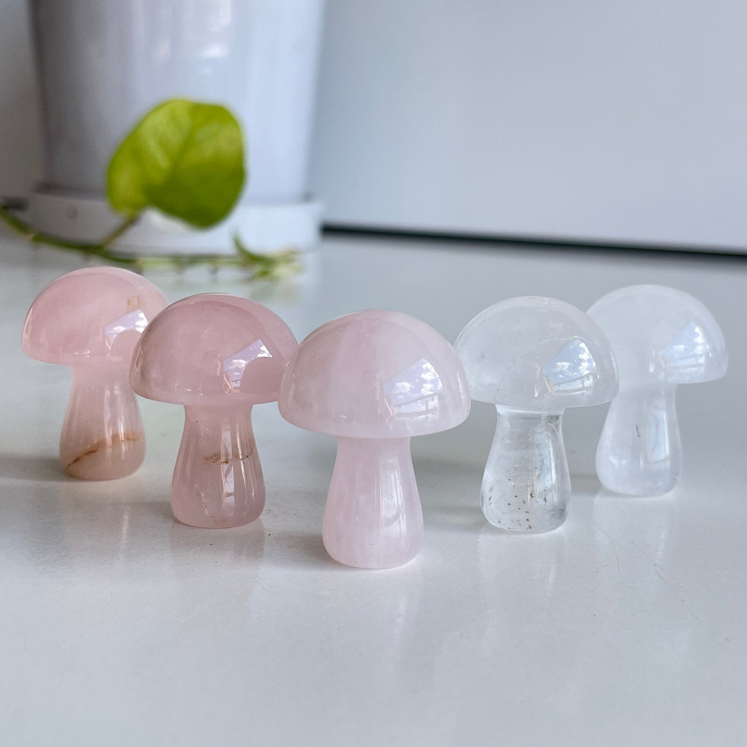 Rose & Clear Quartz Mushroom