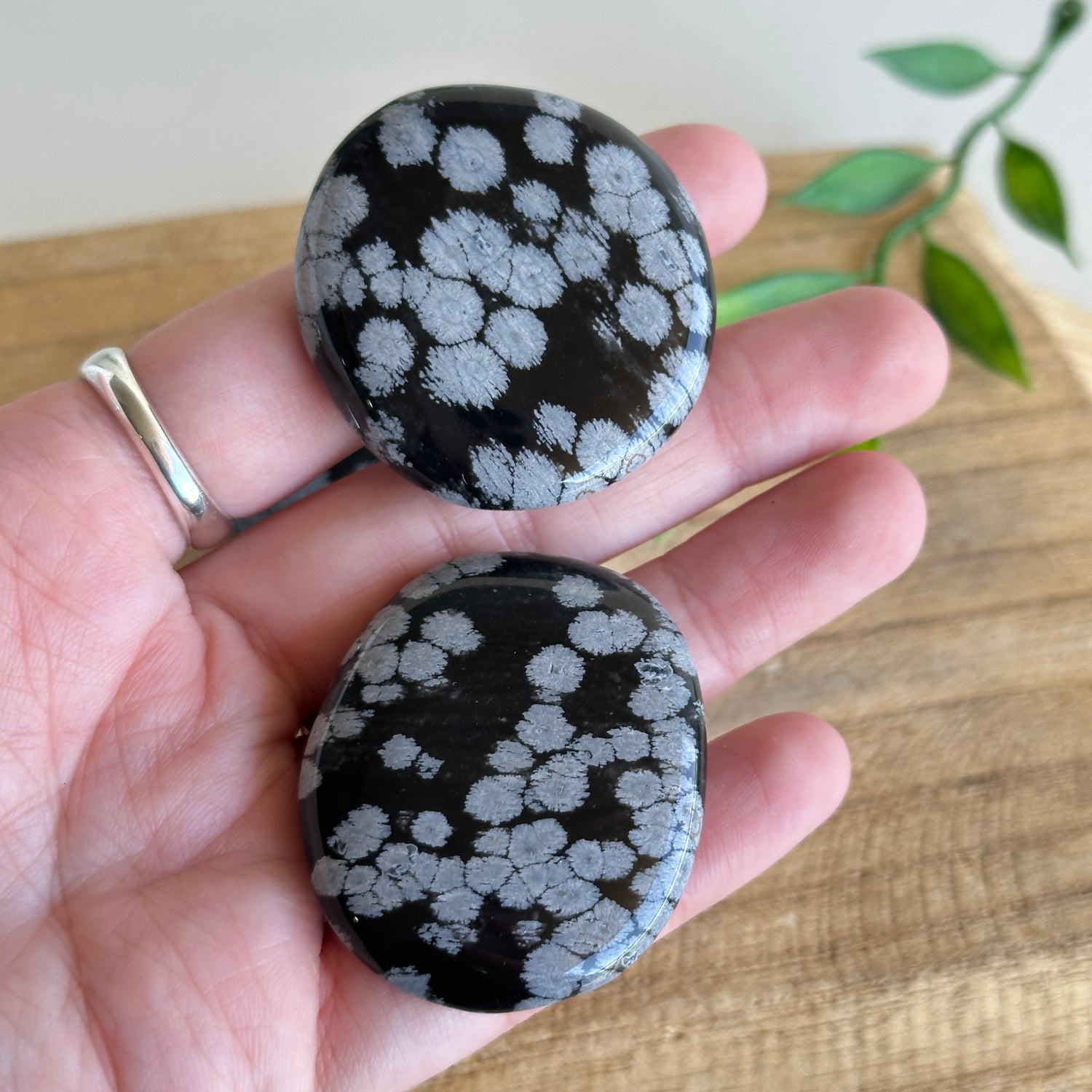 Snowflake Obsidian Flat Stone XL Bra Buddy
