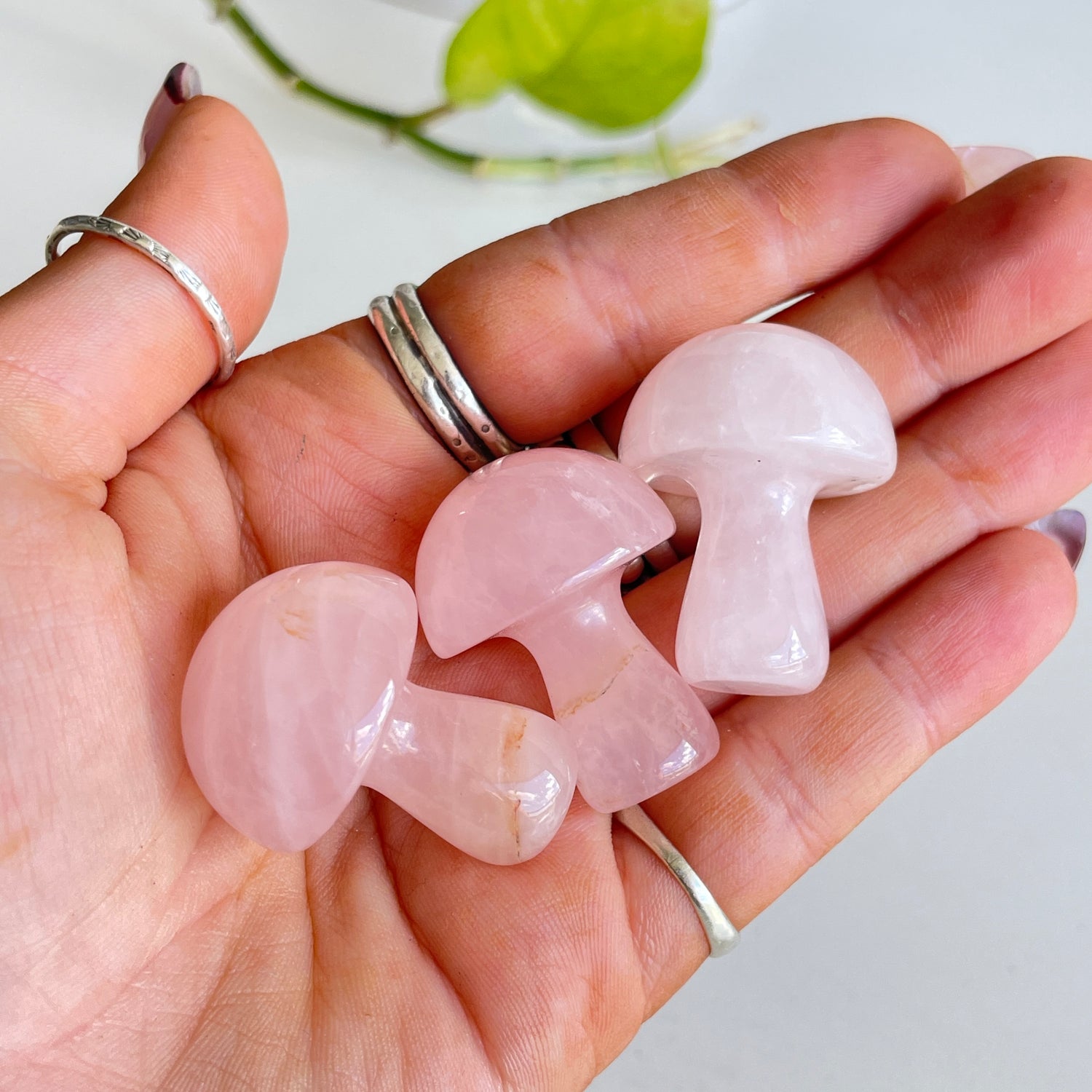 Rose & Clear Quartz Mushroom