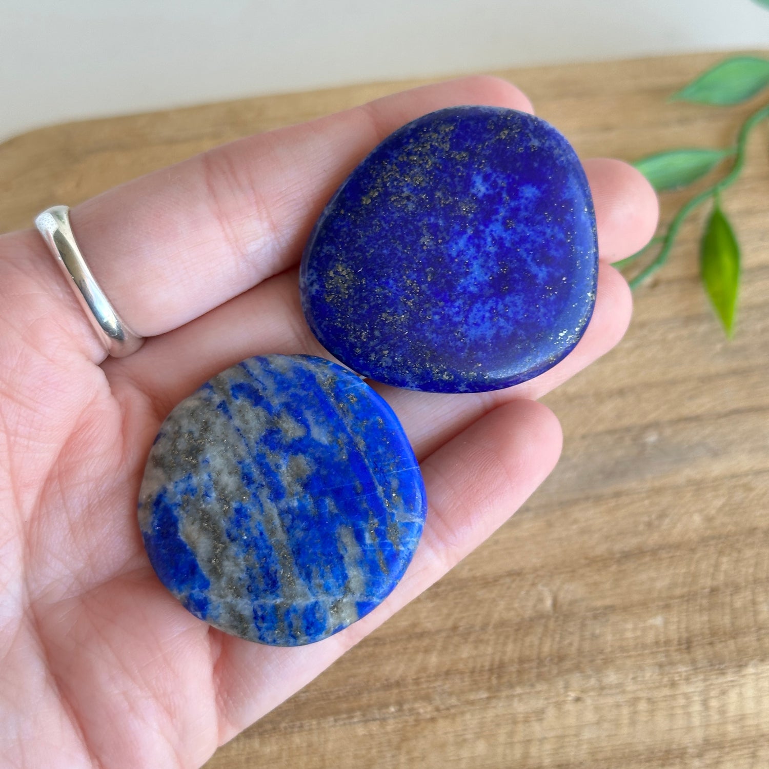 Lapis Lazuli  Flat Stone XL Bra Buddy