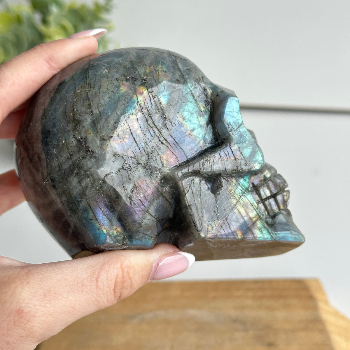 Labradorite Skull 3
