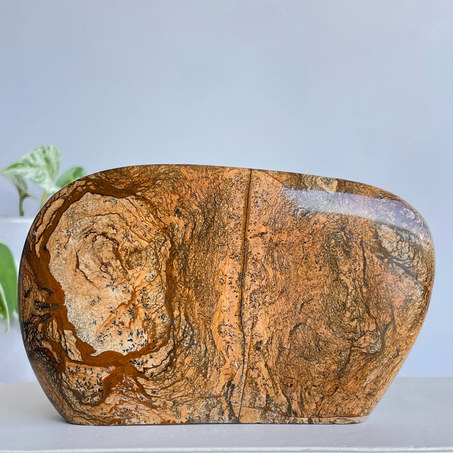 Picture Jasper Freeform 9.7cm