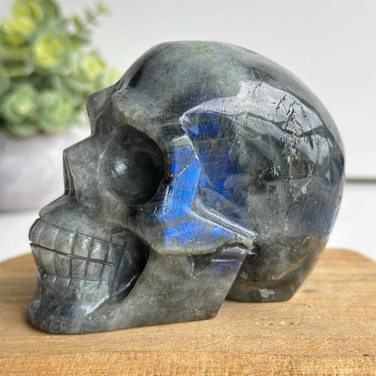 Labradorite Skull 2