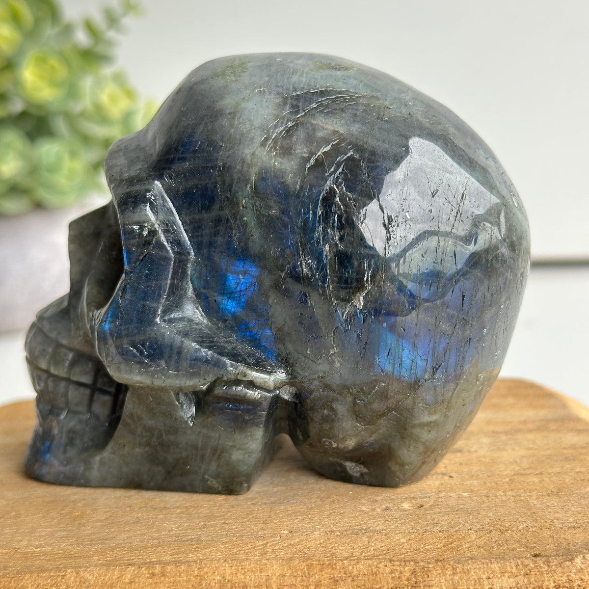 Labradorite Skull 2