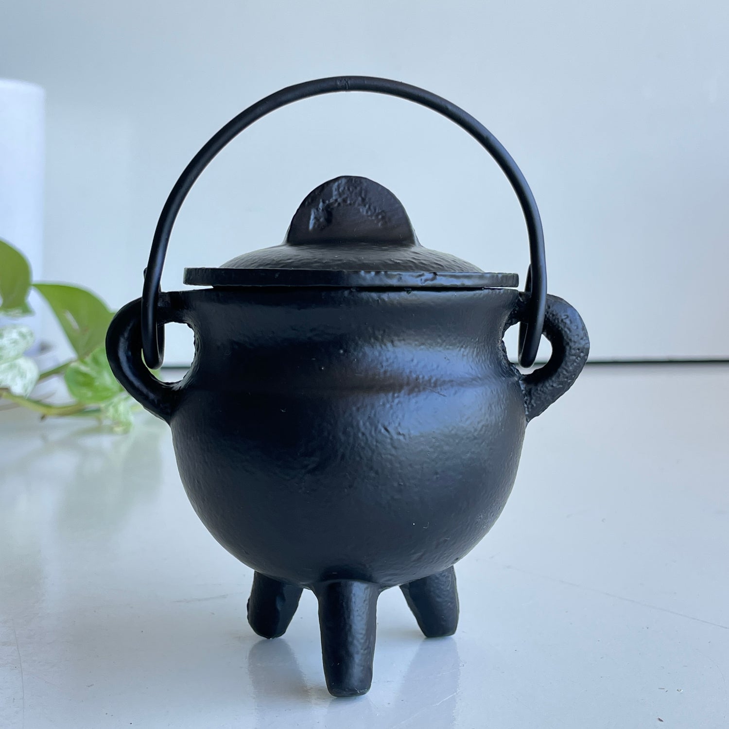 Cast Iron Cauldron With Lid SWHBR81