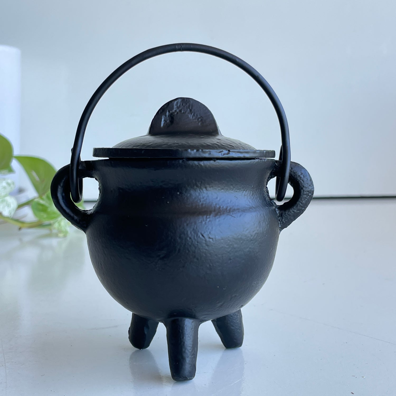 Cast Iron Cauldron With Lid SWHBR81