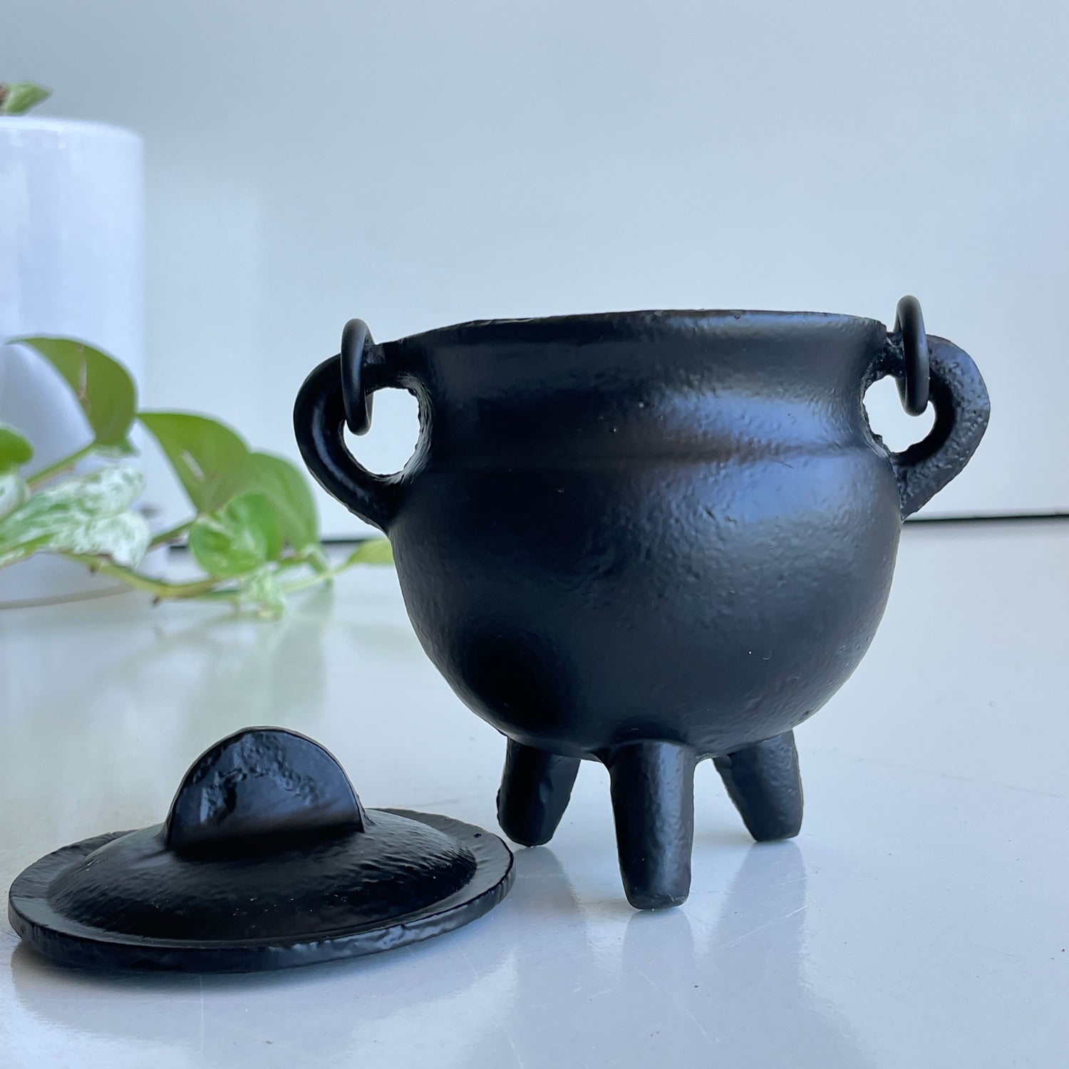 Cast Iron Cauldron With Lid SWHBR81