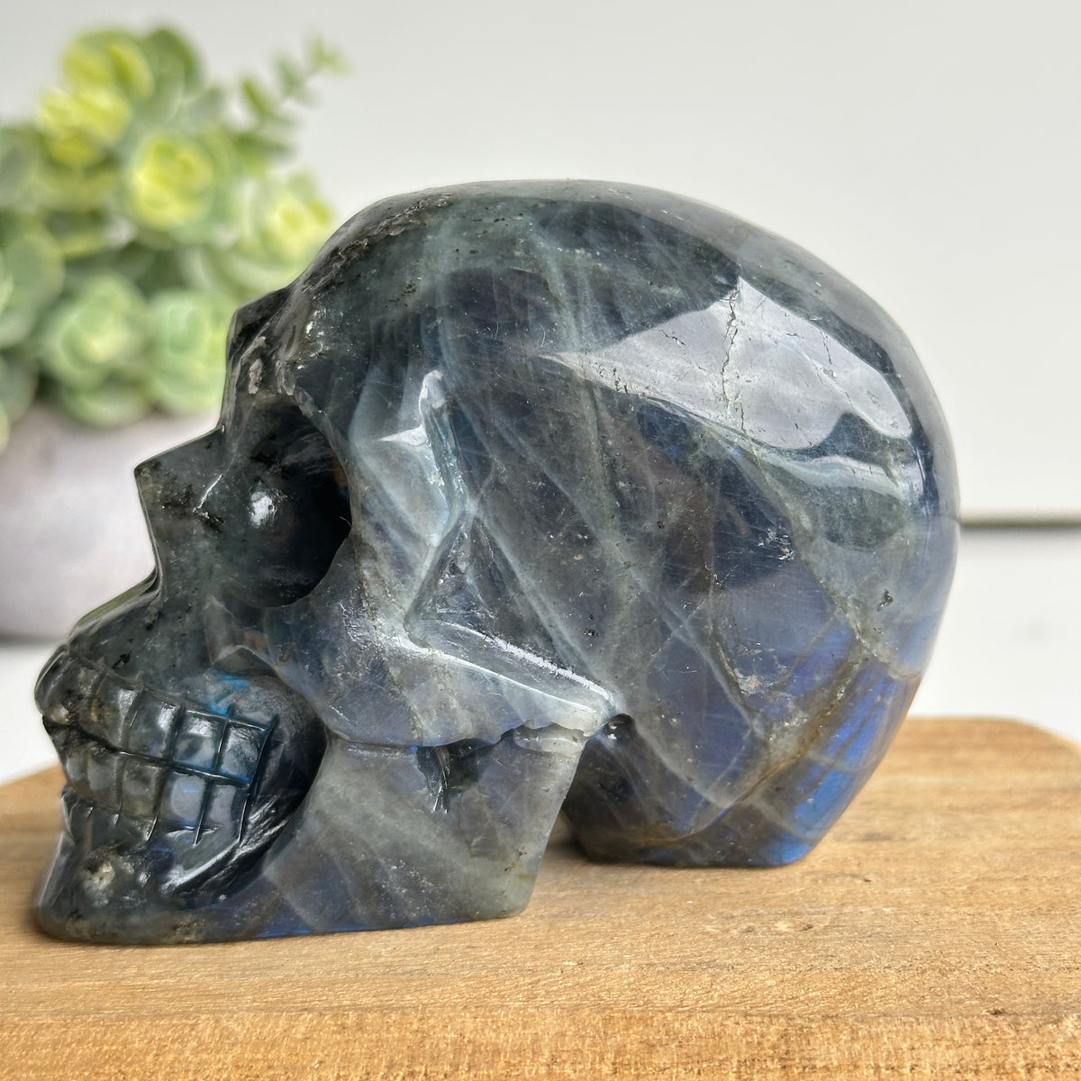 Labradorite Skull 1