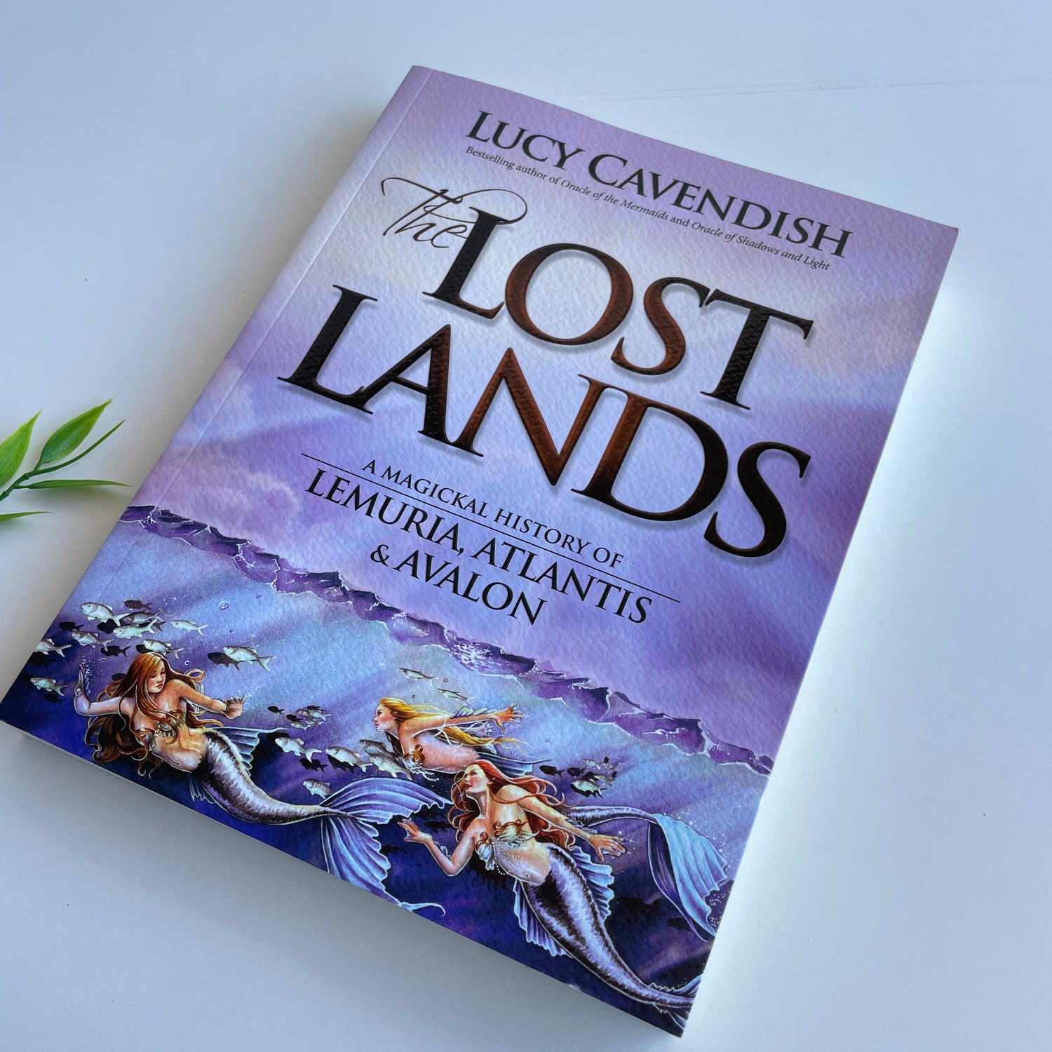 The Lost Lands Lucy Cavendish