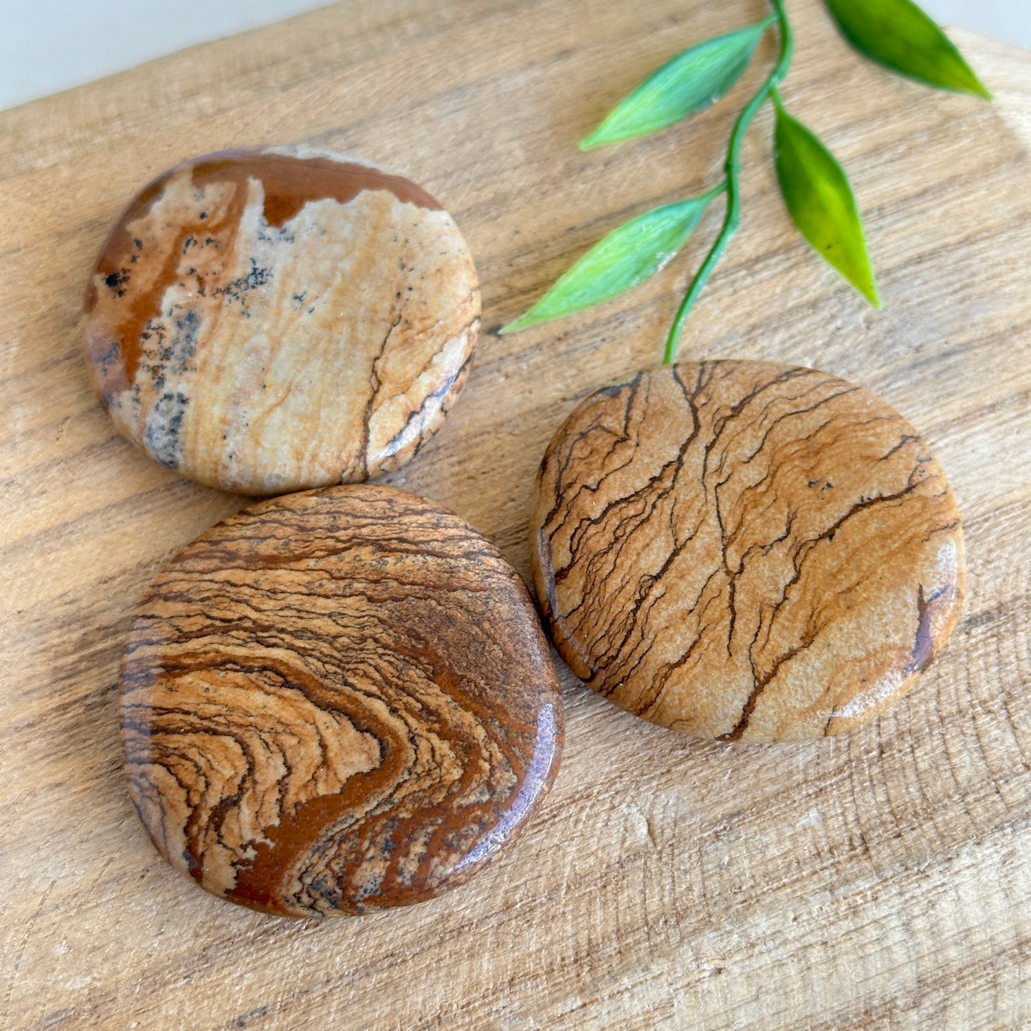Picture Jasper Flat Stone XL Bra Buddy