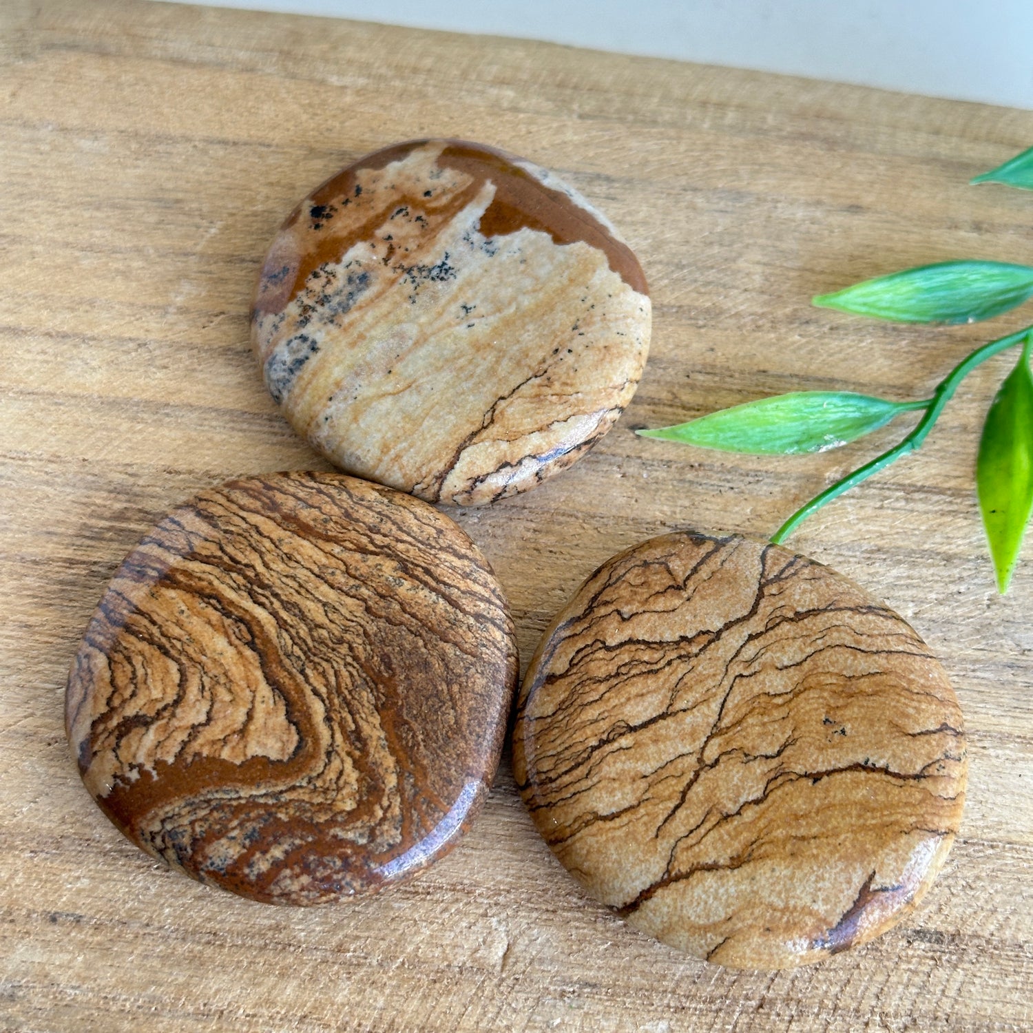 Picture Jasper Flat Stone XL Bra Buddy