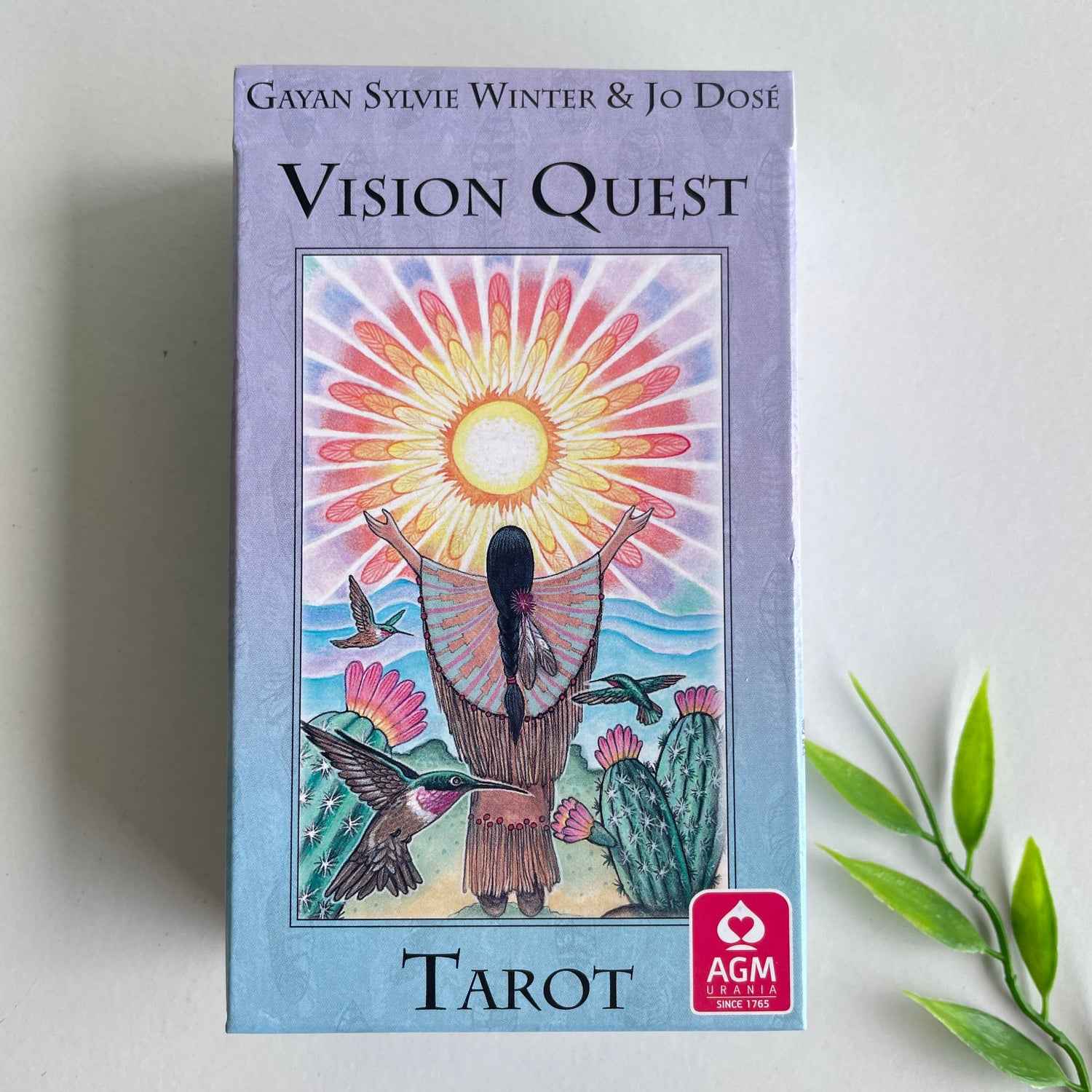 Vision Quest Tarot Deck