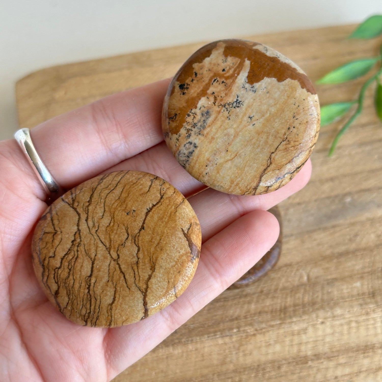 Picture Jasper Flat Stone XL Bra Buddy