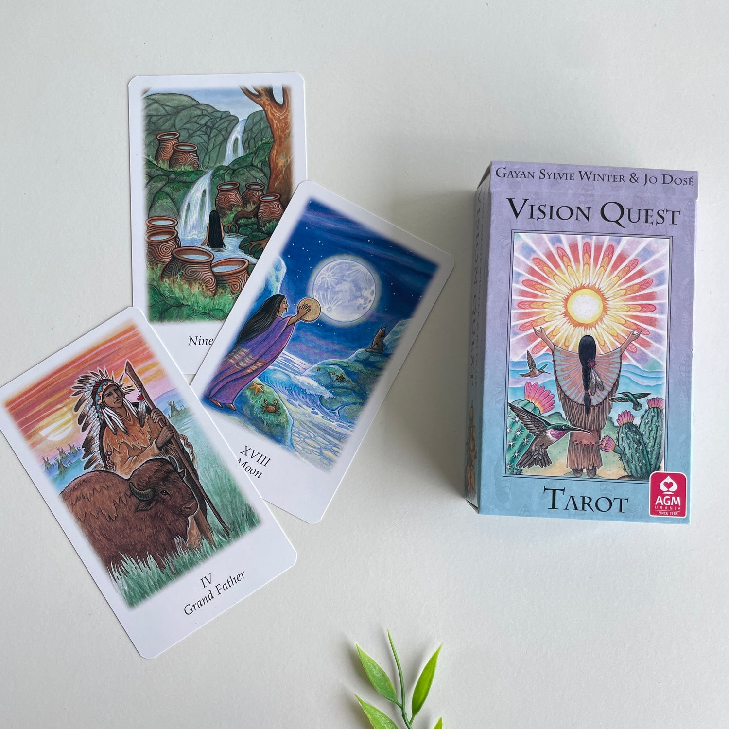 Vision Quest Tarot Deck