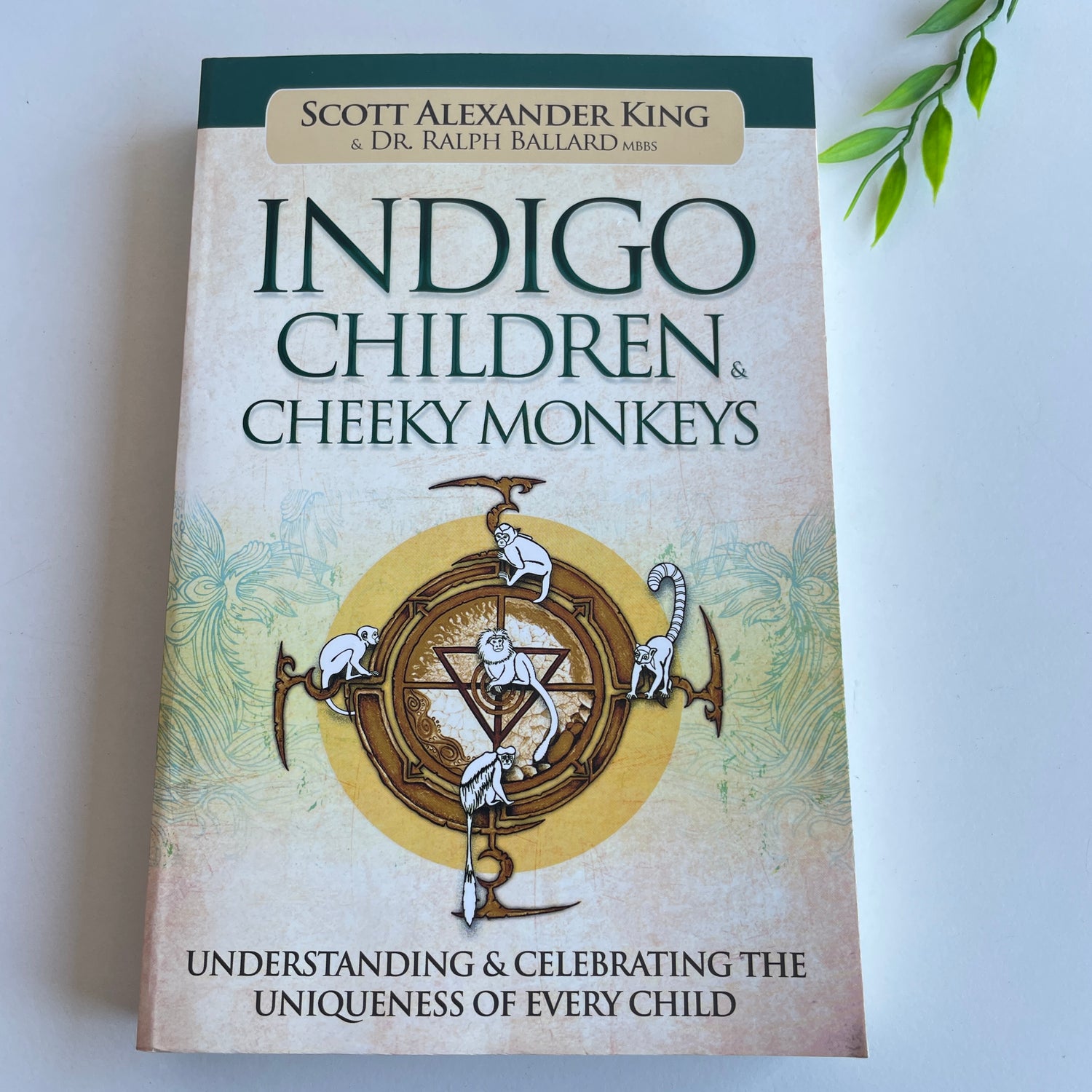 Indigo Children and Cheeky Monkeys Scott Alexander King