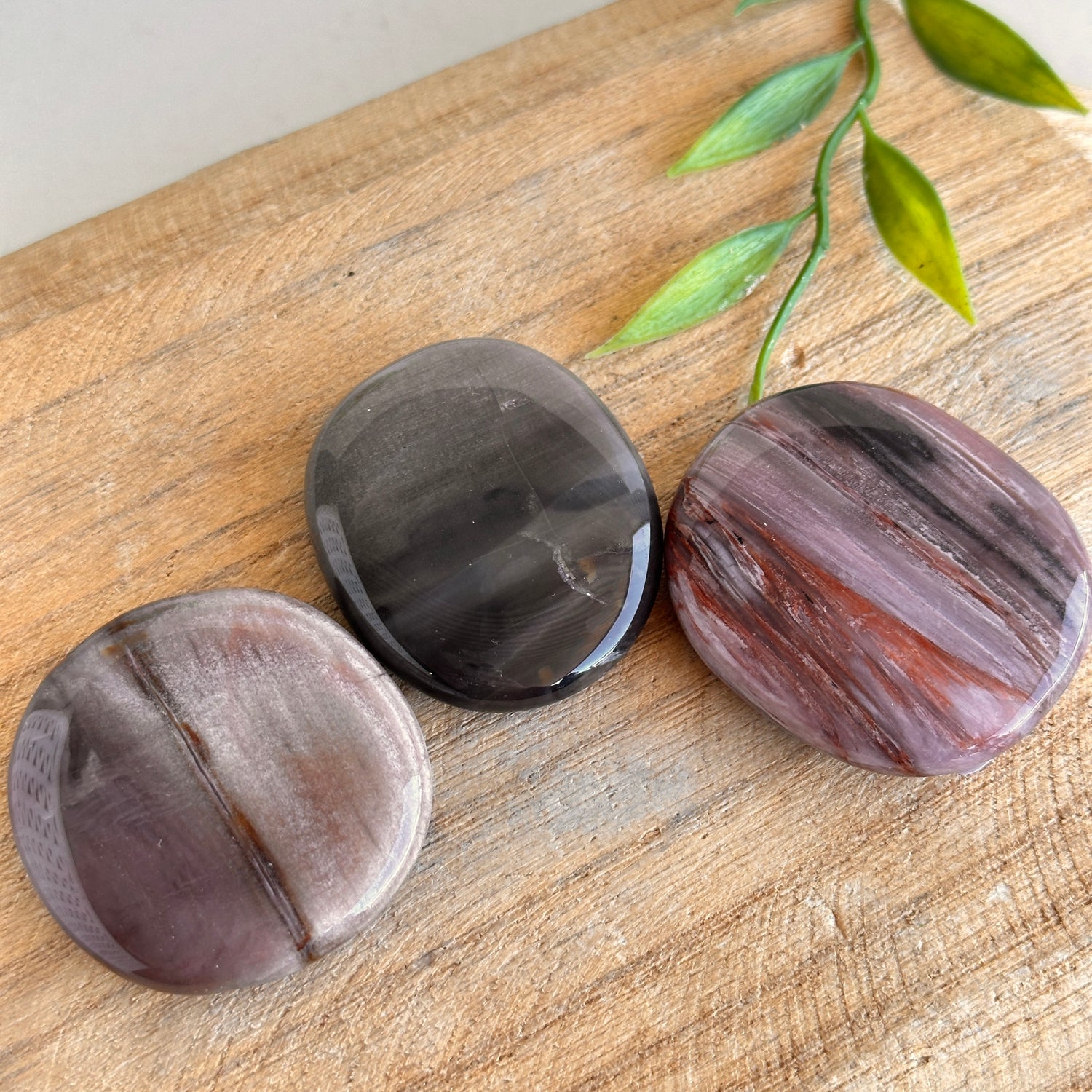 Petrified Wood Flat Stone XL Bra Buddy