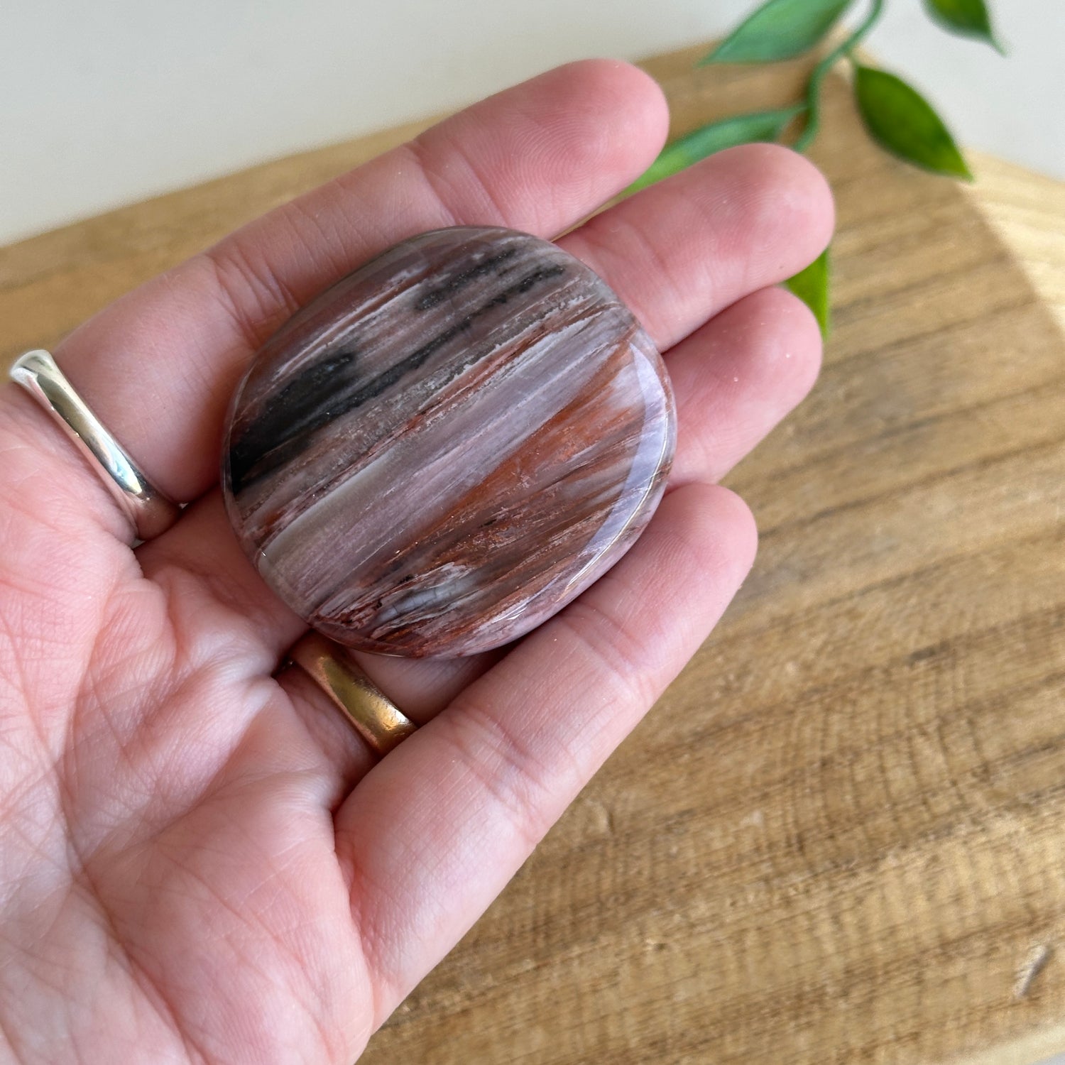 Petrified Wood Flat Stone XL Bra Buddy