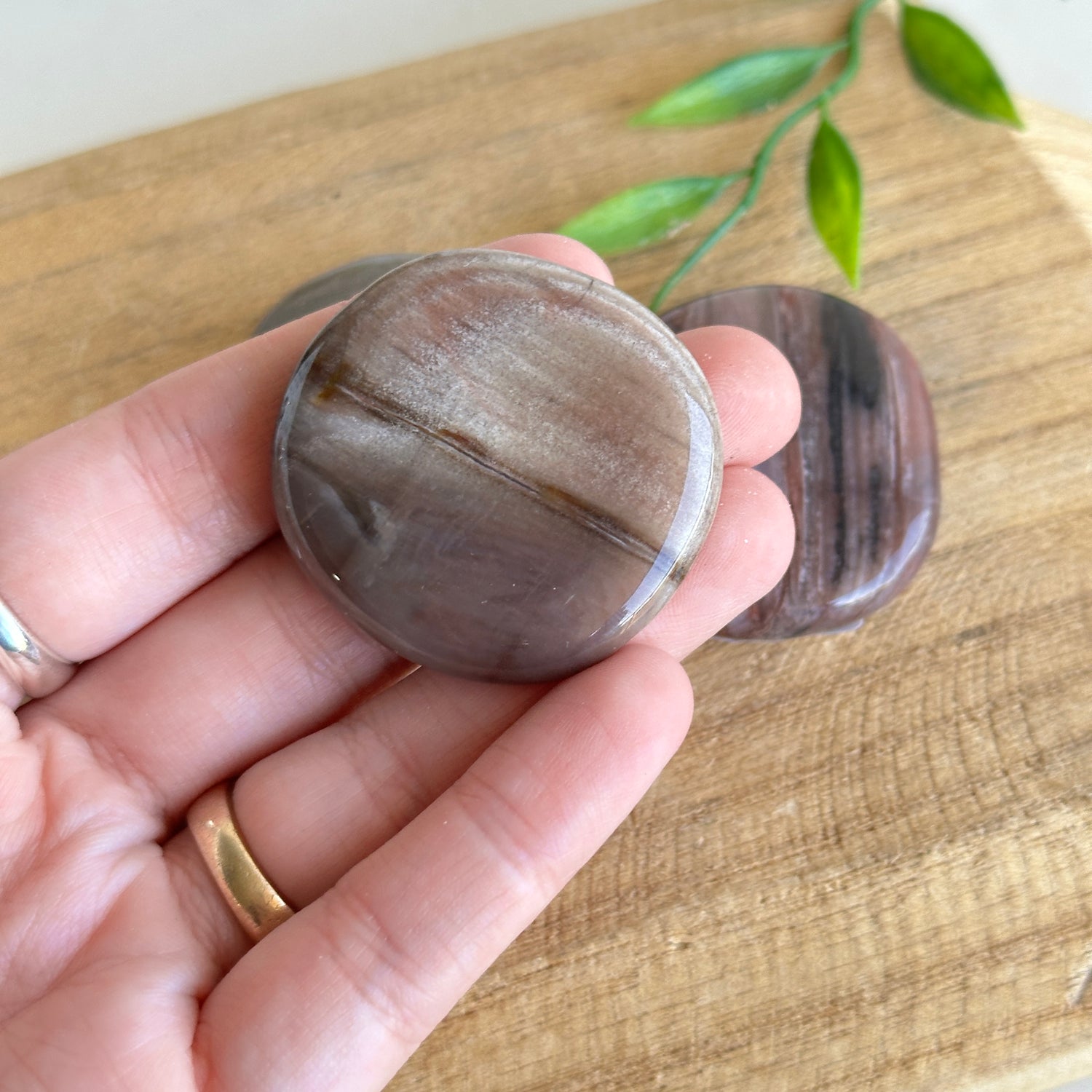 Petrified Wood Flat Stone XL Bra Buddy