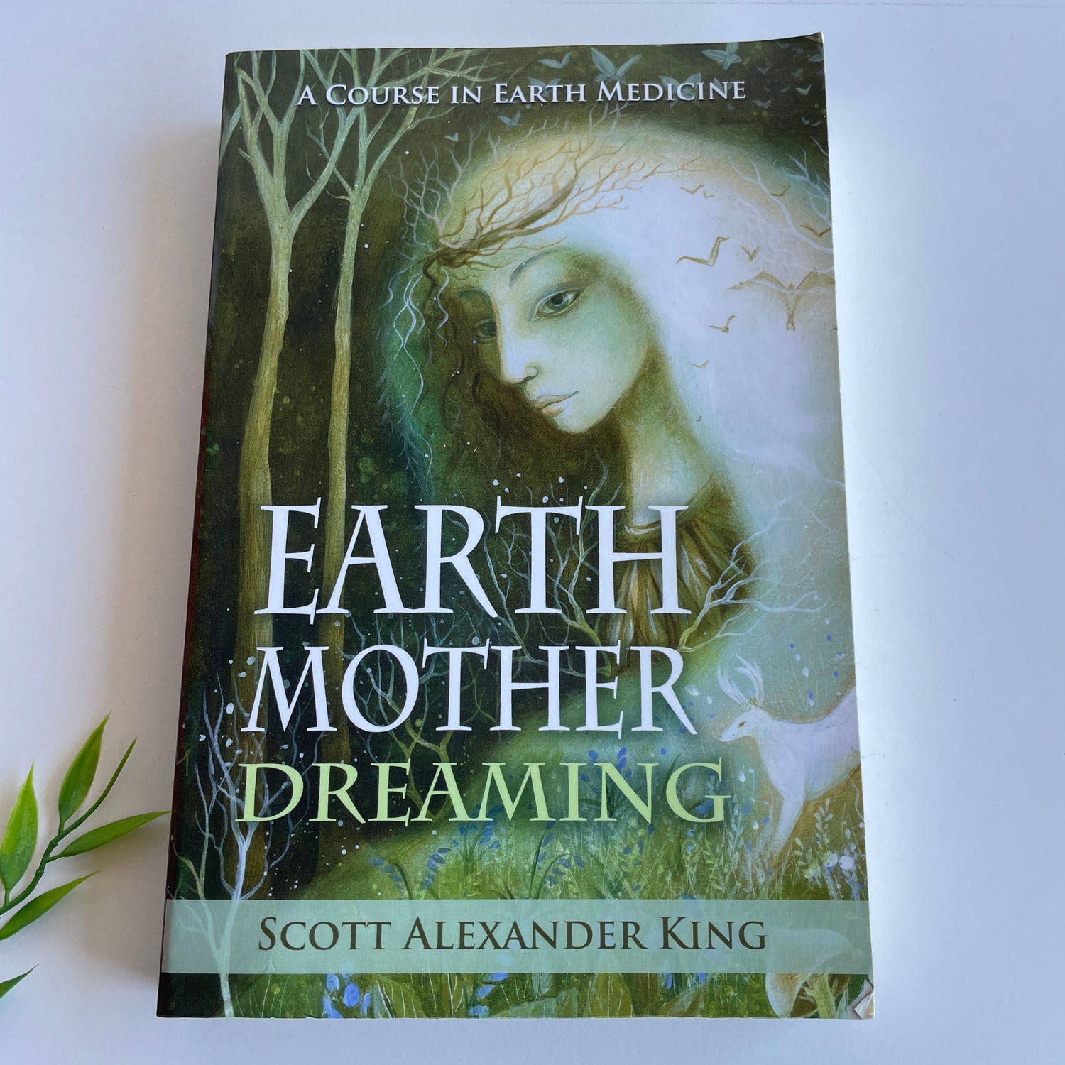 Earth Mother Dreaming Scott Alexander King