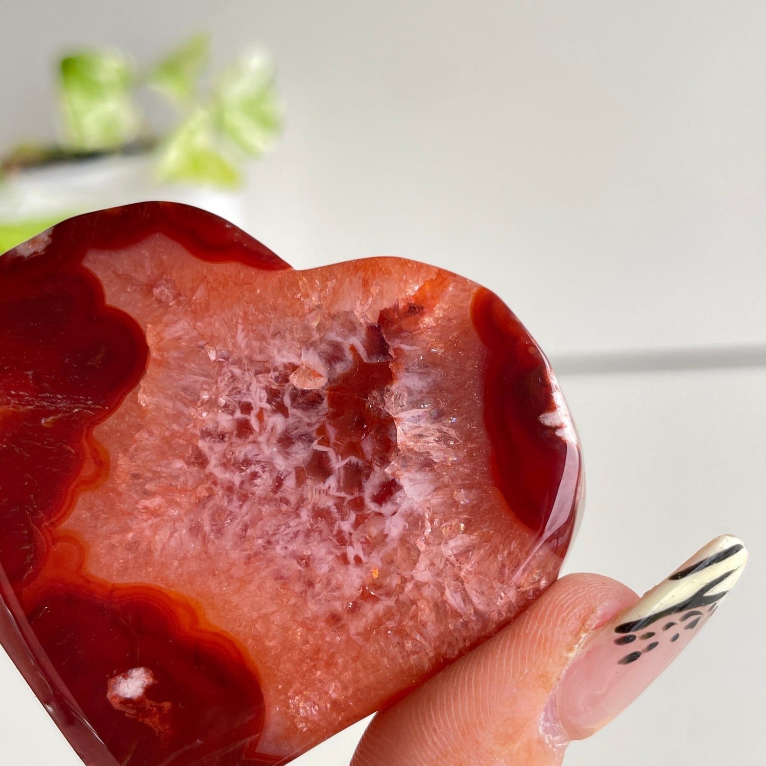 Carnelian Heart 5.9cm