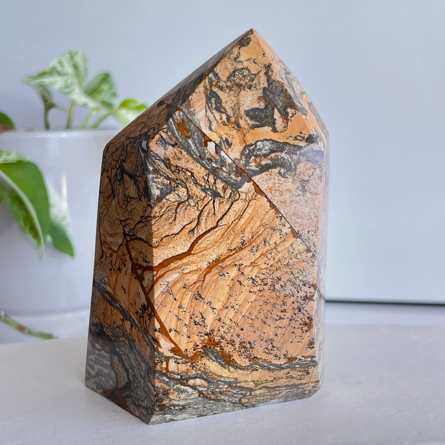 Picture Jasper Point 11cm