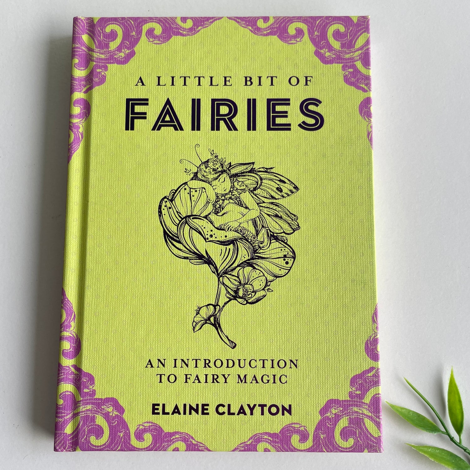 A Little Bit Of Fairies Elaine Clayton