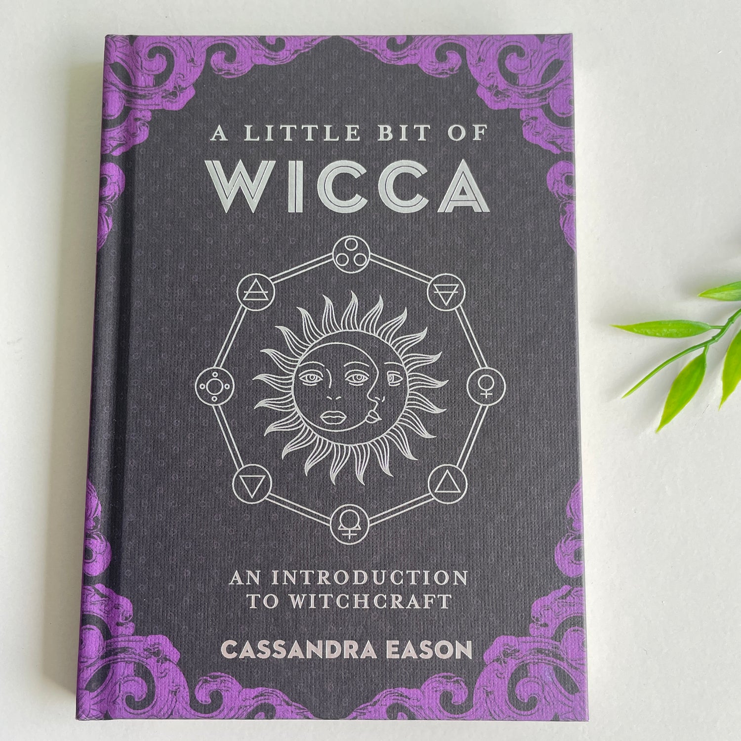 A Little Bit Of Wicca Cassandra Eason