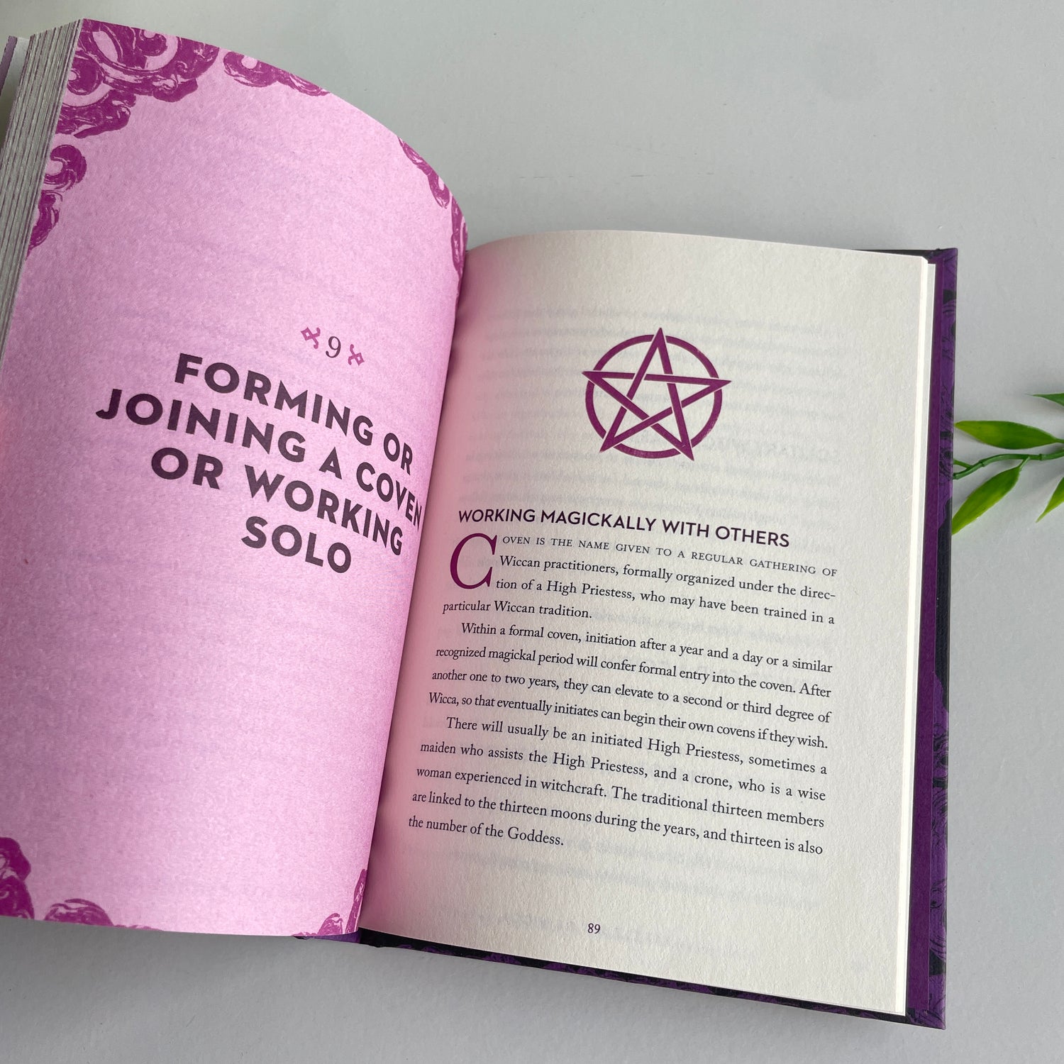 A Little Bit Of Wicca Cassandra Eason