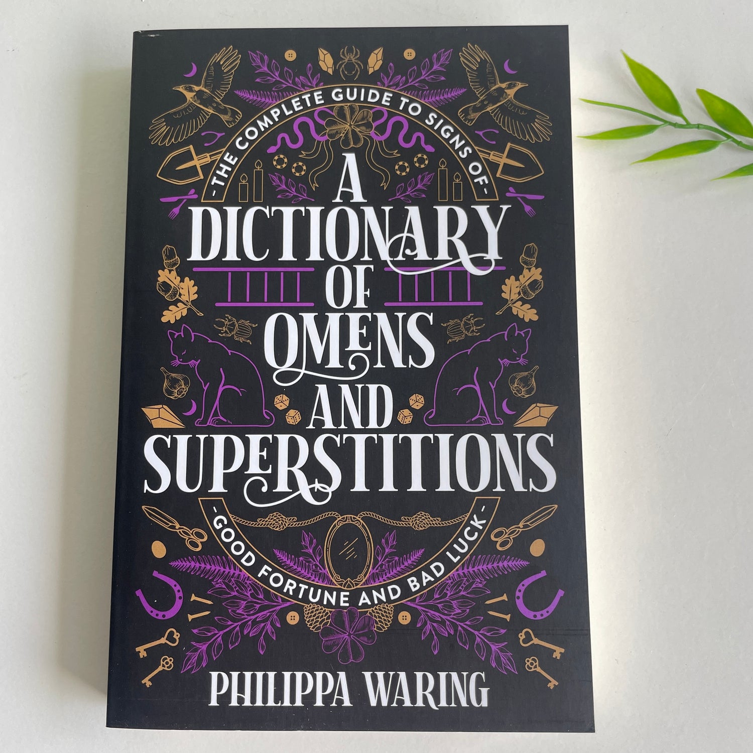 A Dictionary Of Omens And Superstitions Phillipa Waring