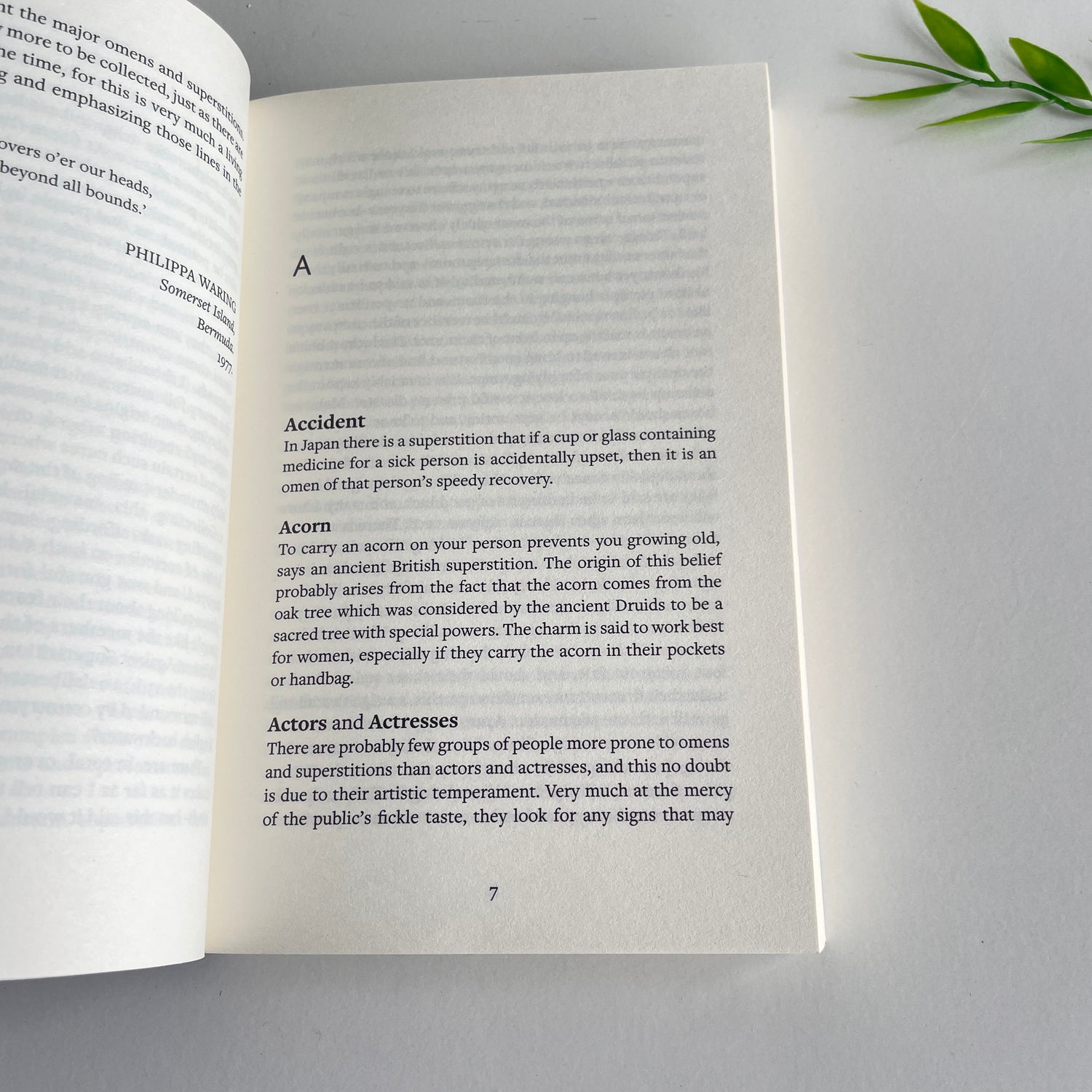 A Dictionary Of Omens And Superstitions Phillipa Waring