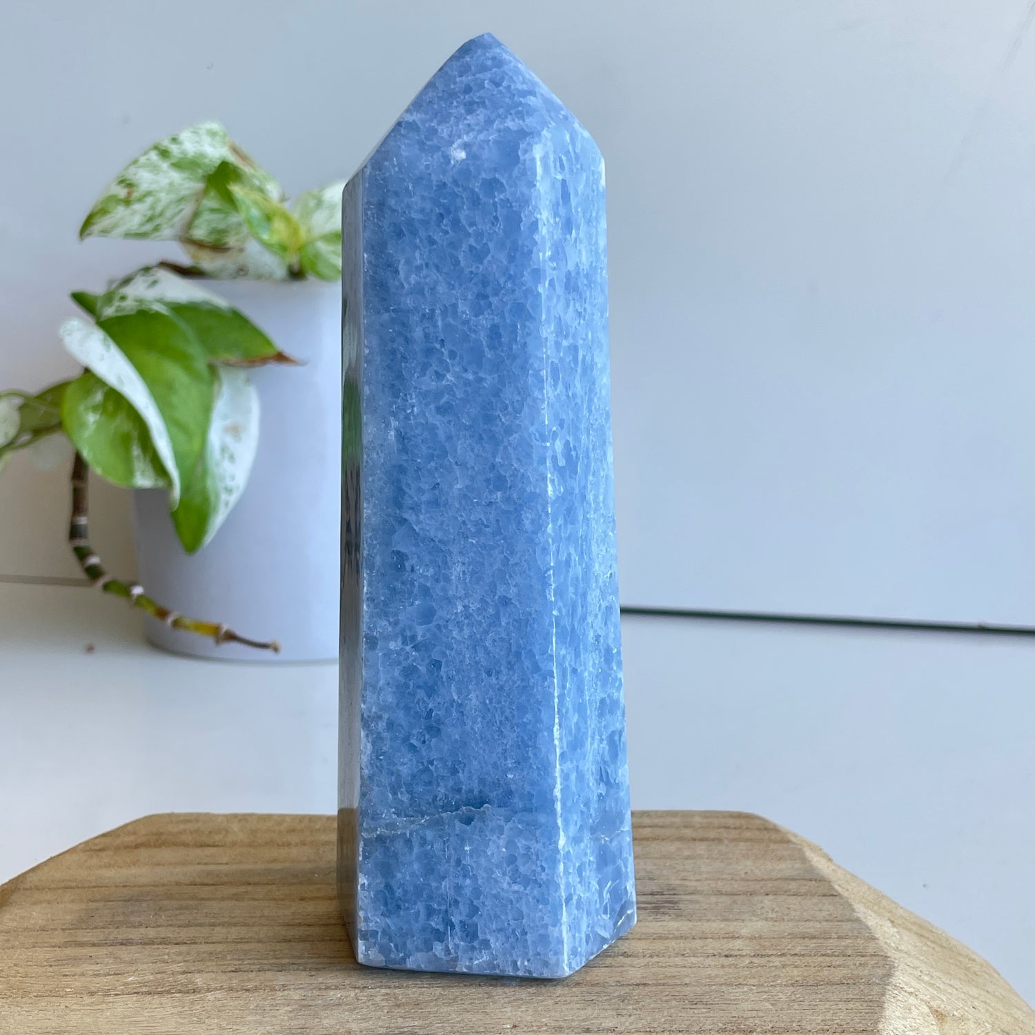 Blue Calcite Generator 15.2cm