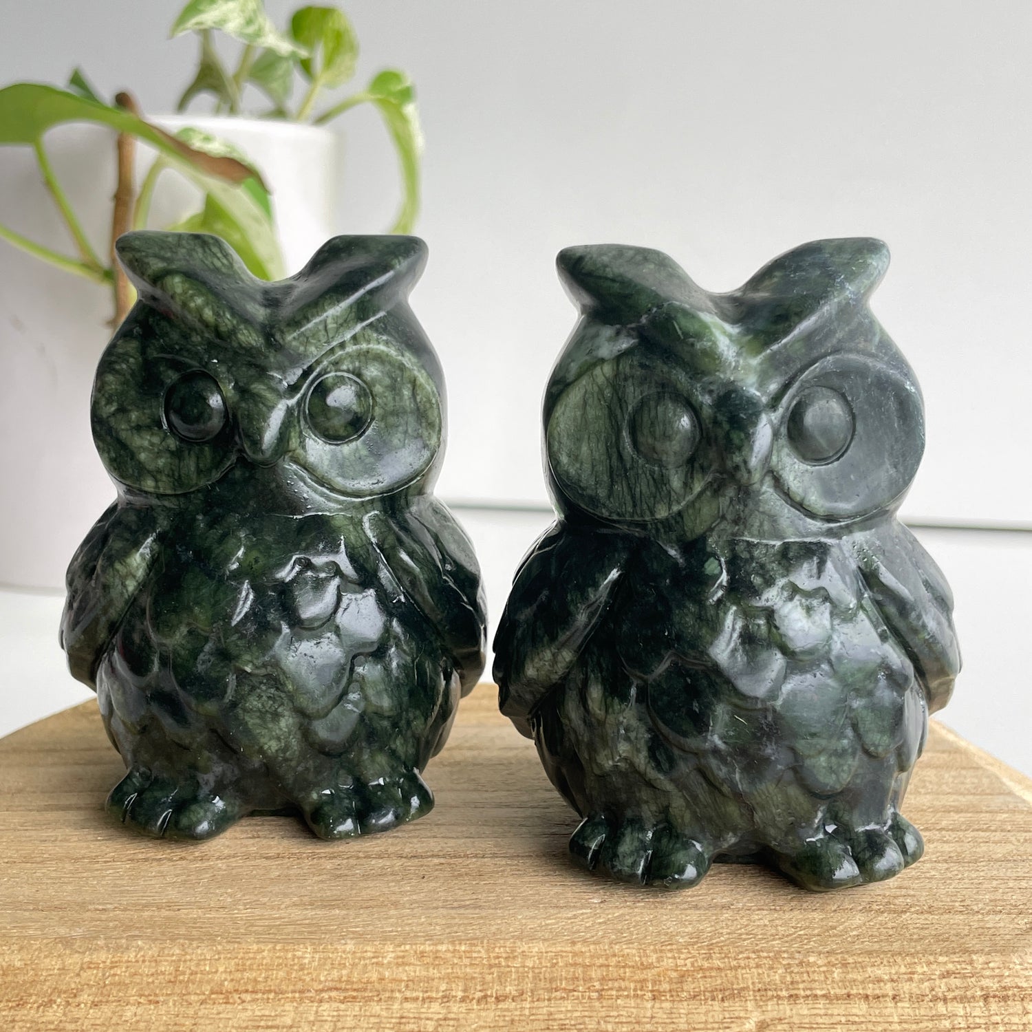 Jade Owl