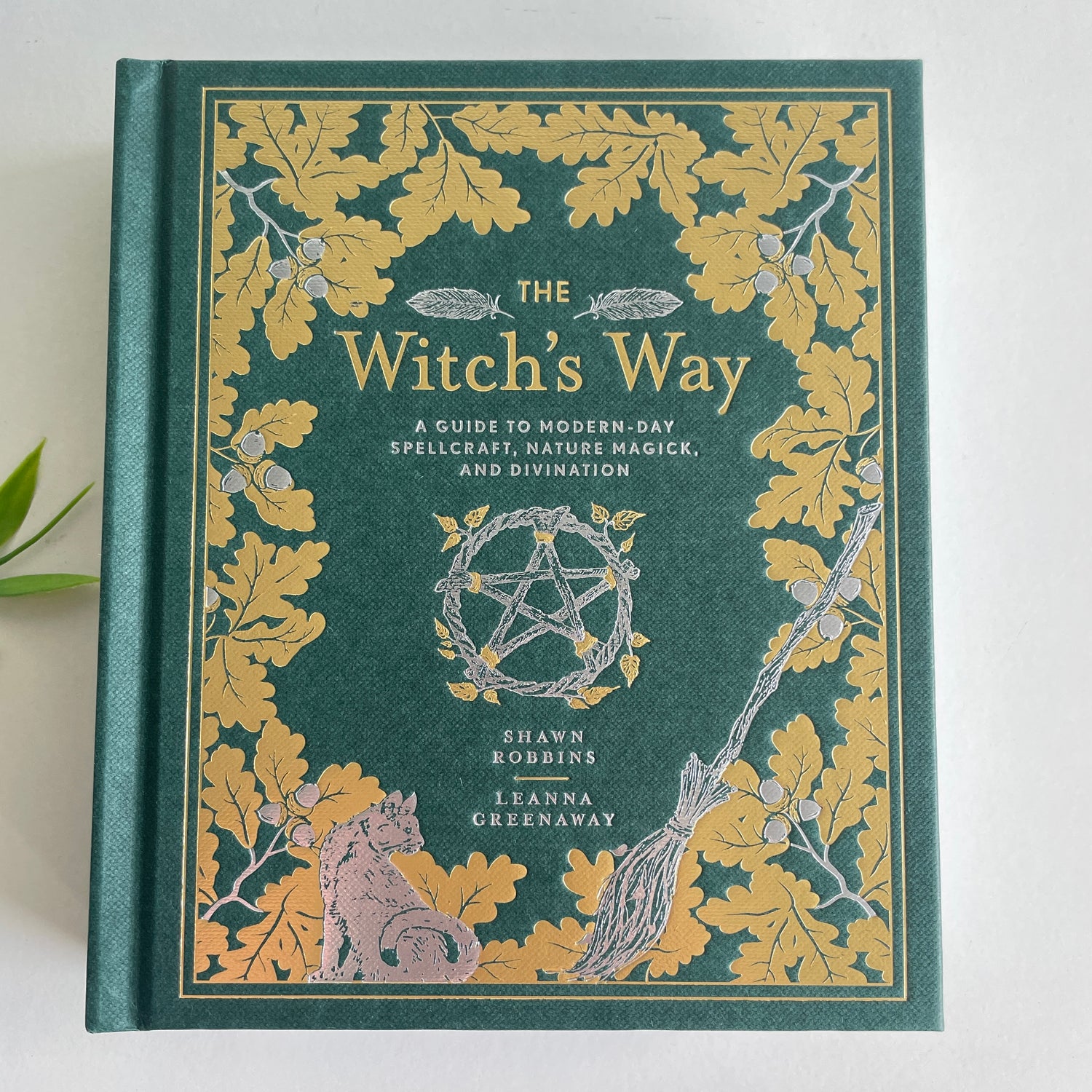 The Witch's Way Shawn Robbins Leanna Greenway