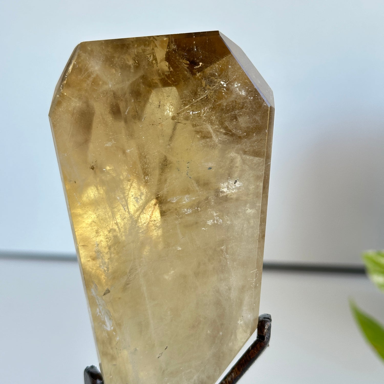 Brazilian Natural Citrine Freeform 10.8cm
