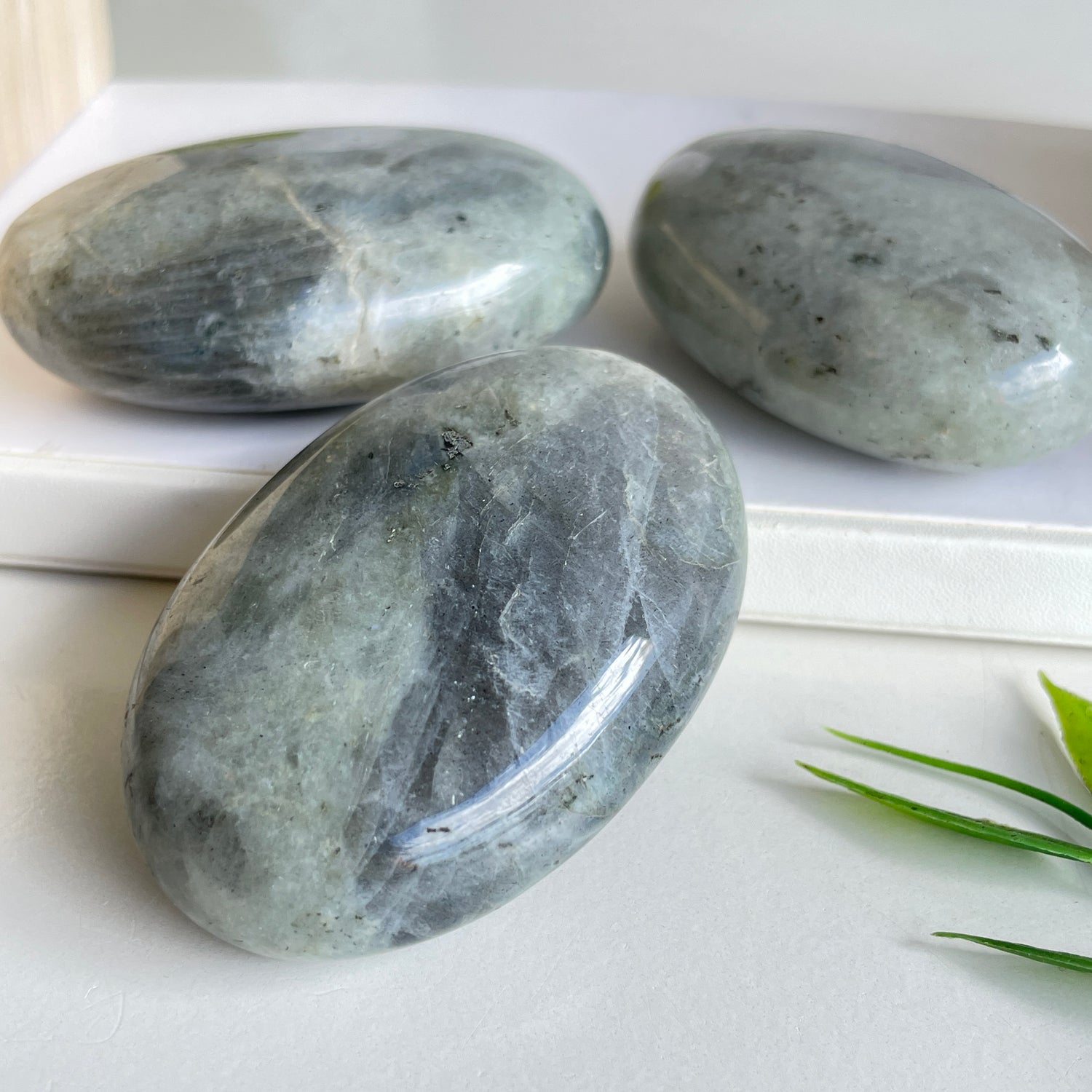 Labradorite Palmstone