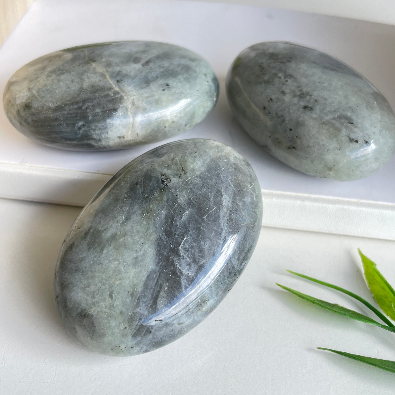 Labradorite Palmstone