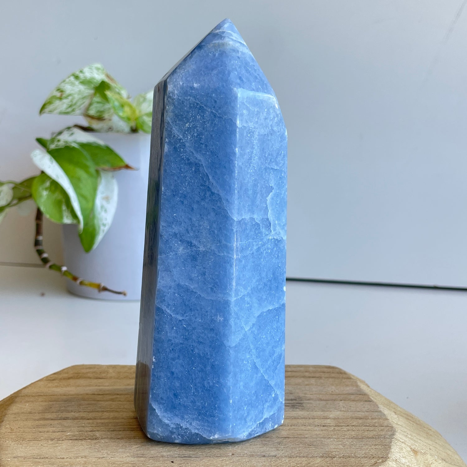 Blue Calcite Generator 15.5cm